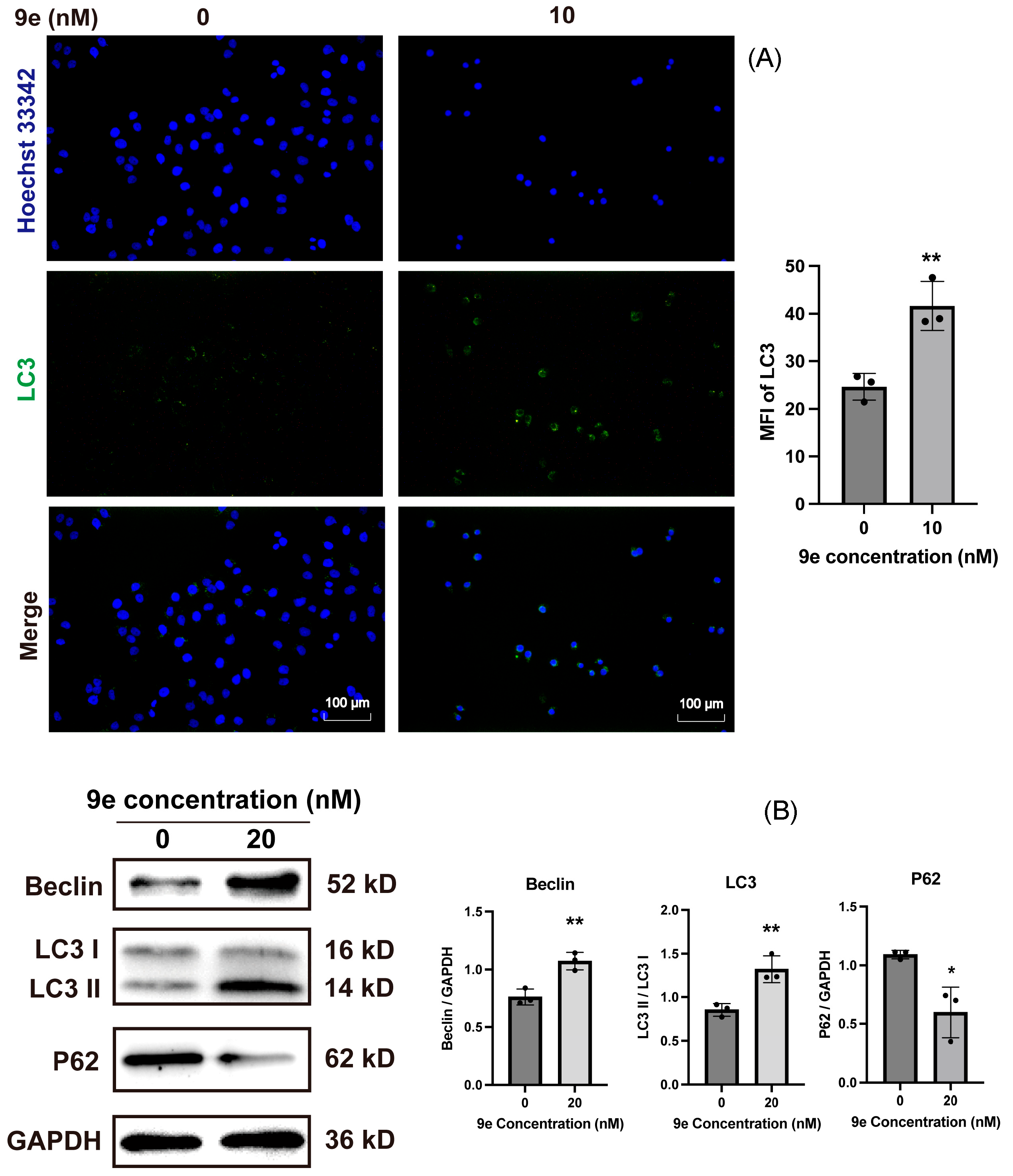 Molecules 30 02341 g009