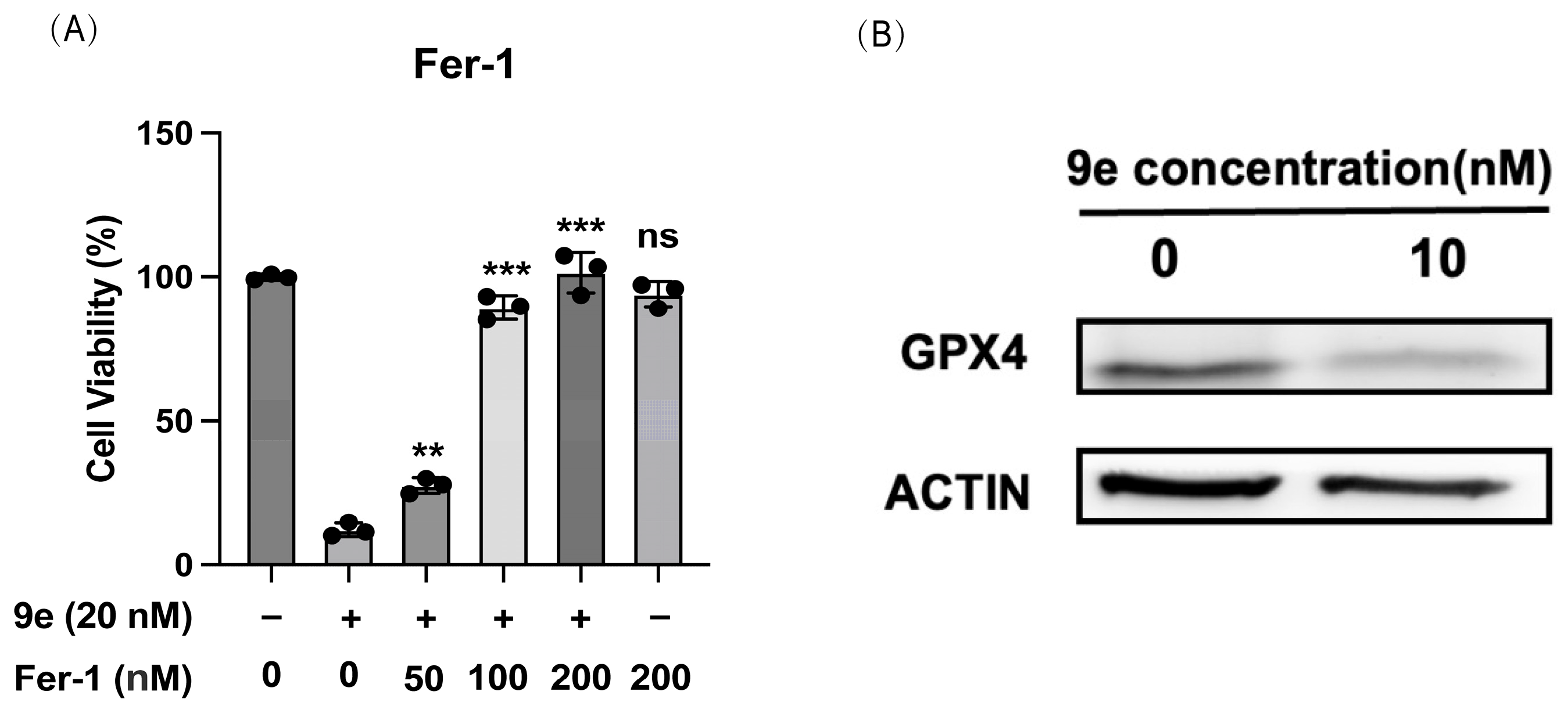 Molecules 30 02341 g010