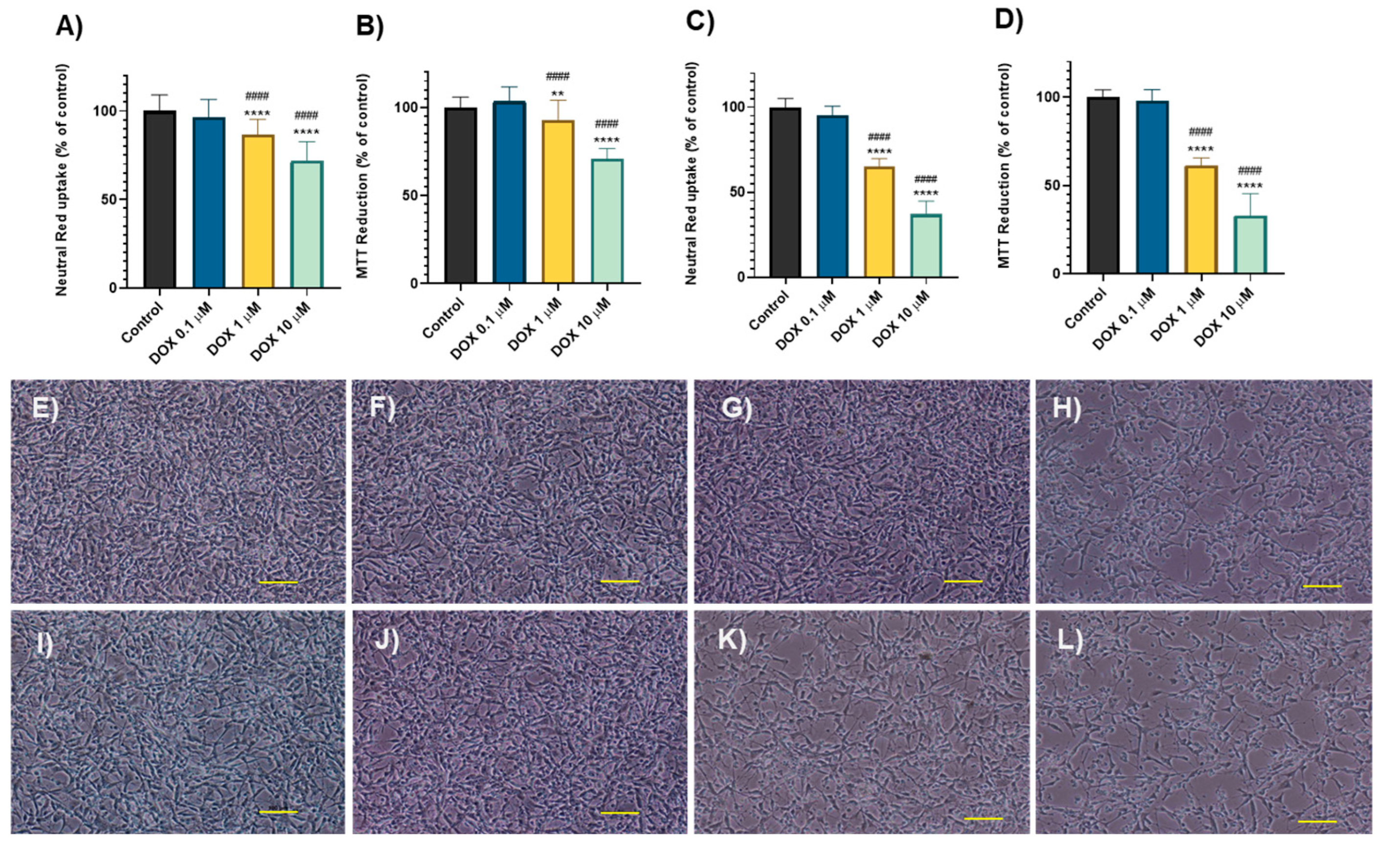 Molecules 30 02342 g001