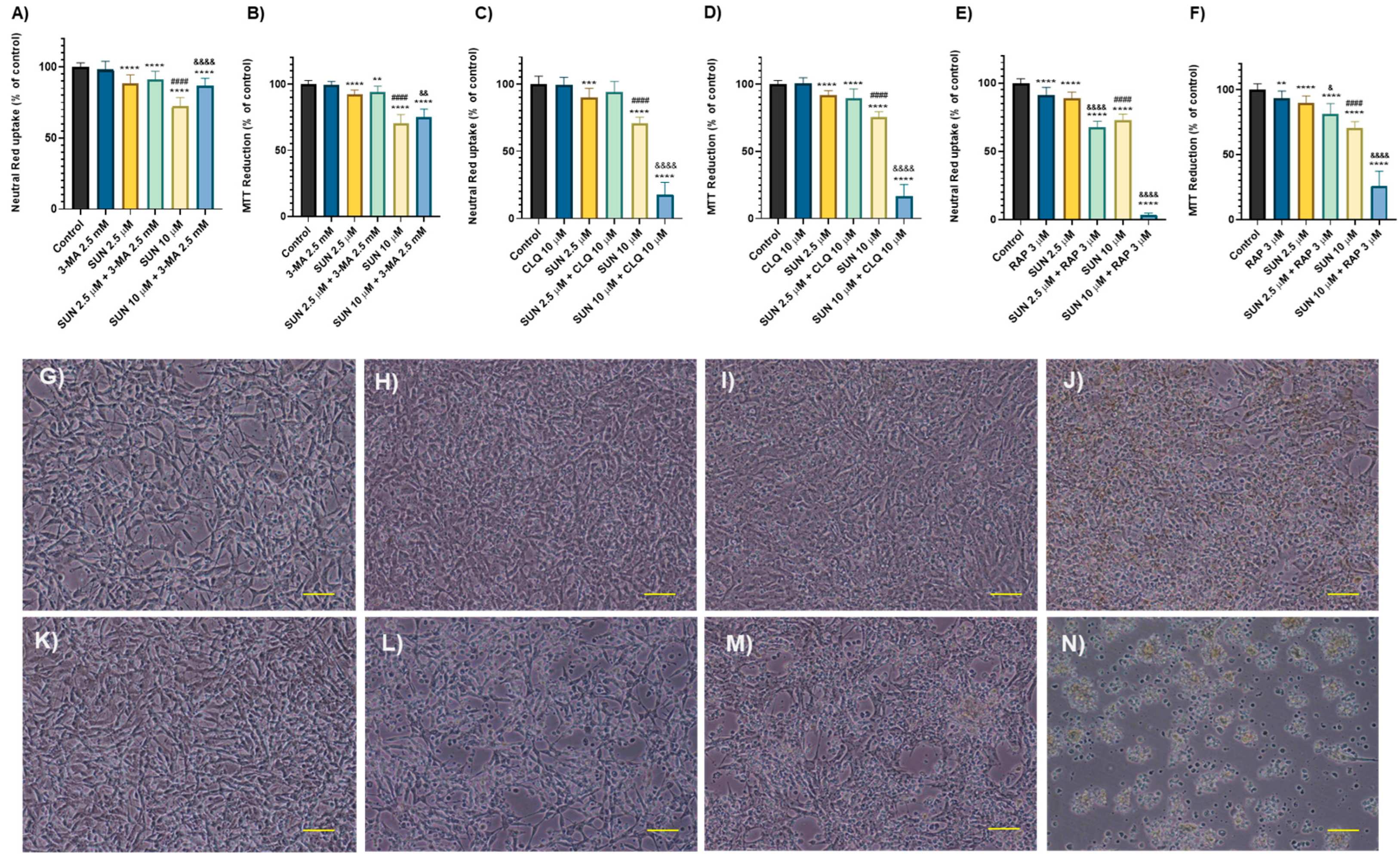 Molecules 30 02342 g006