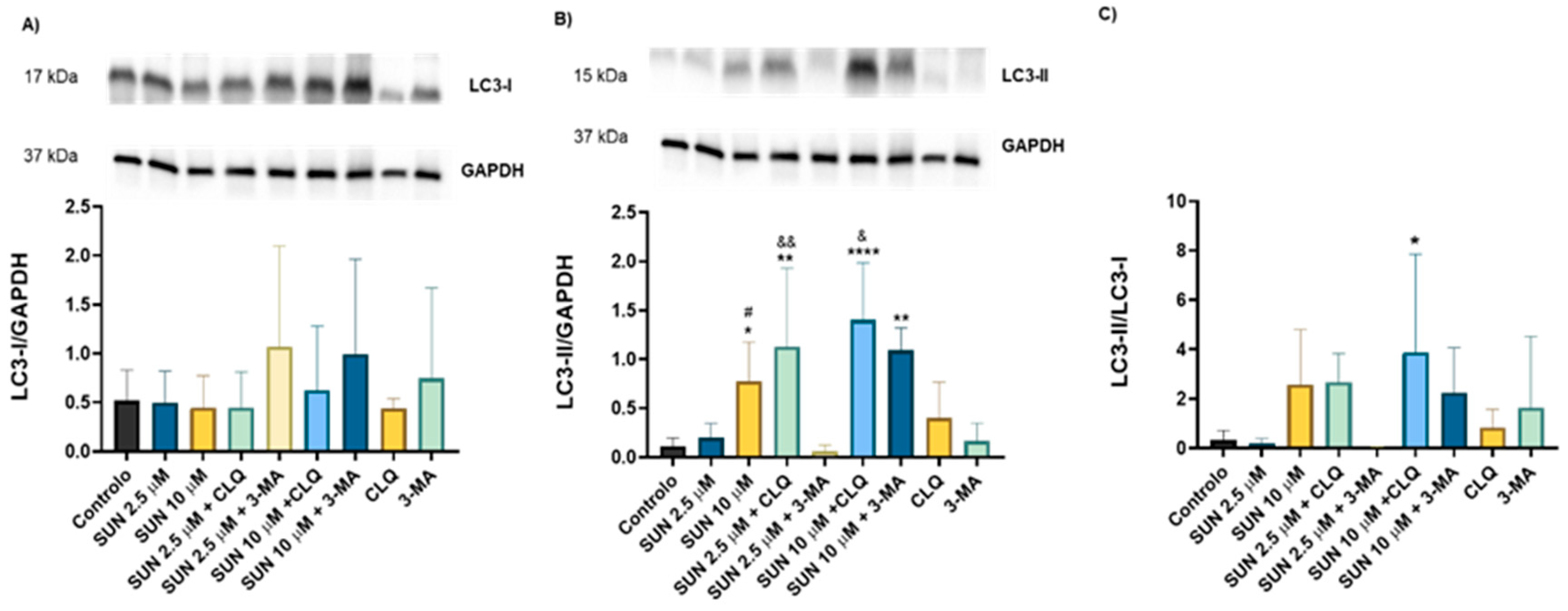Molecules 30 02342 g007