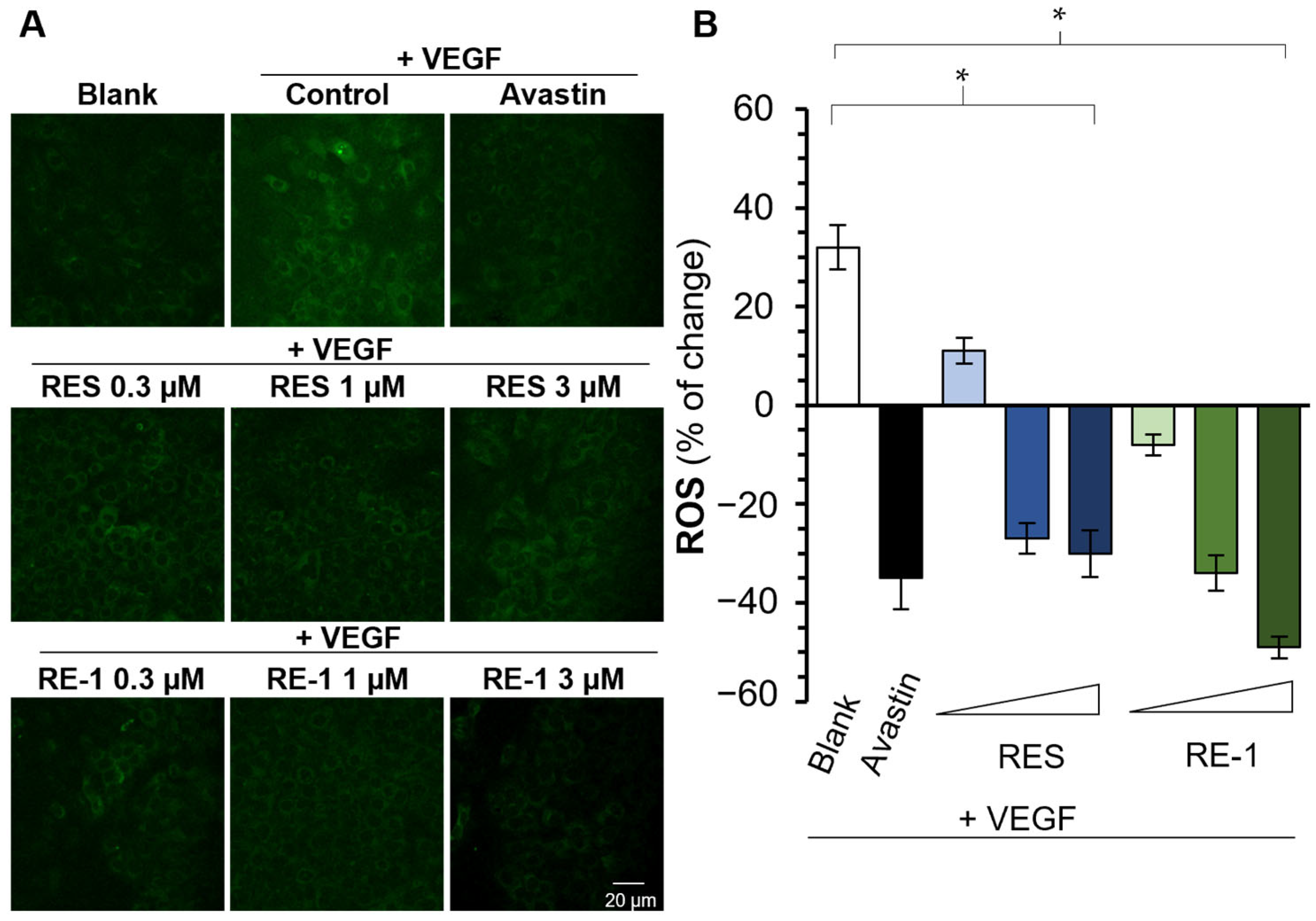Molecules 30 02345 g007