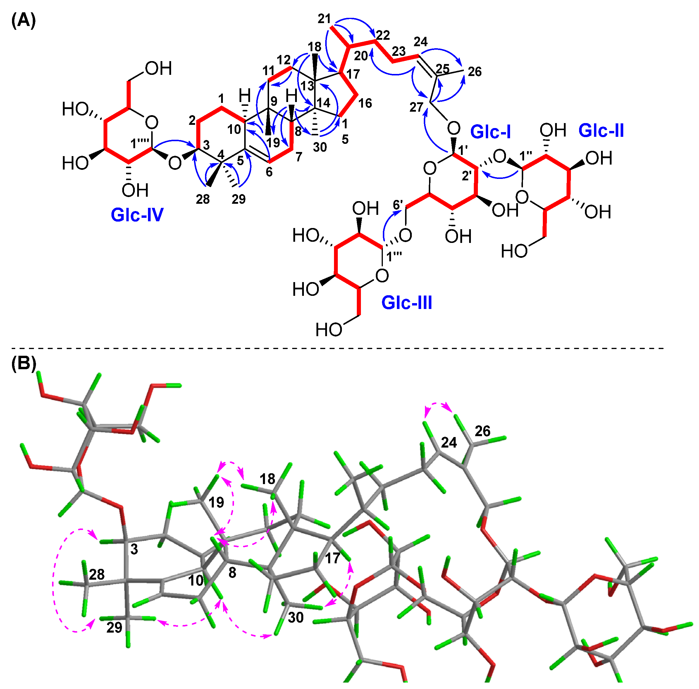 Molecules 30 02349 g004
