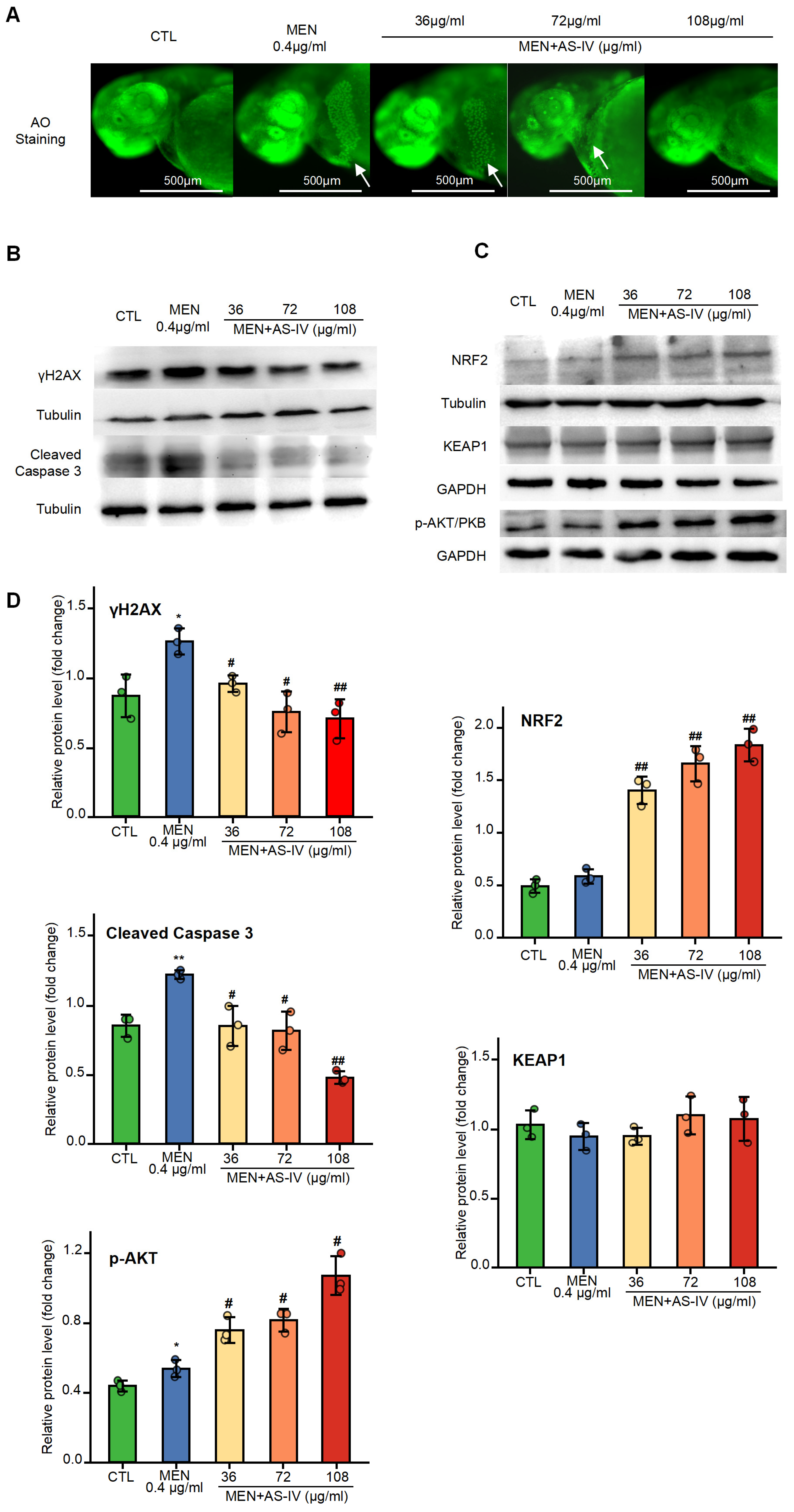 Molecules 30 02355 g005