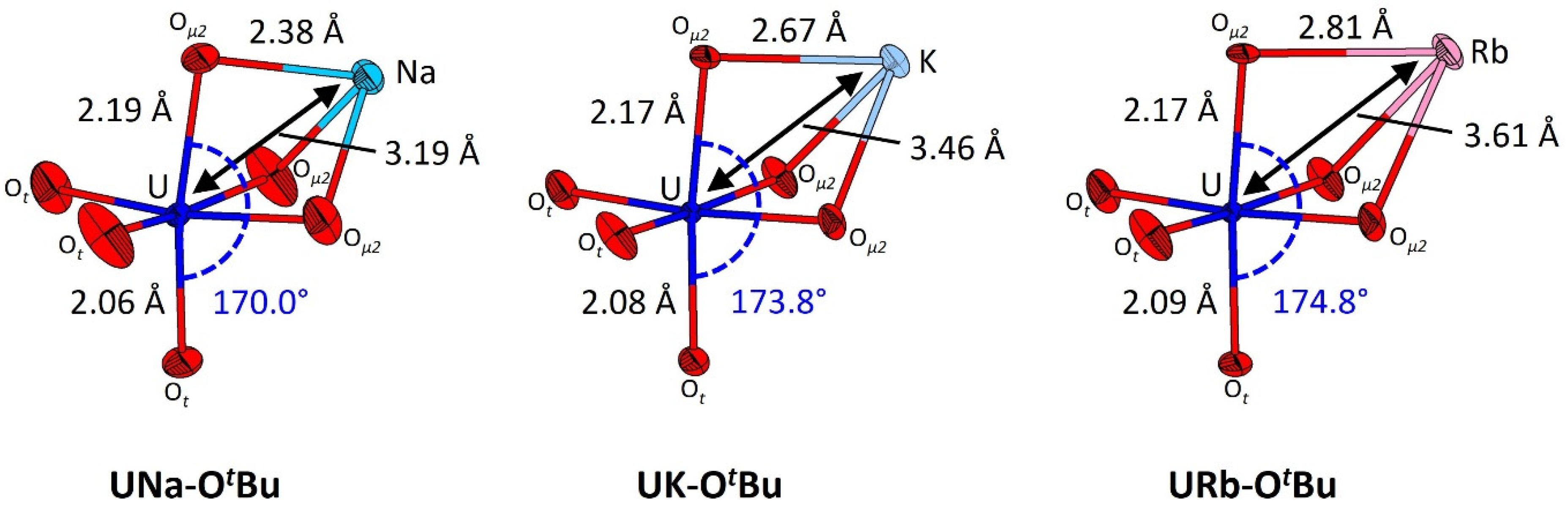 Molecules 30 02361 g004