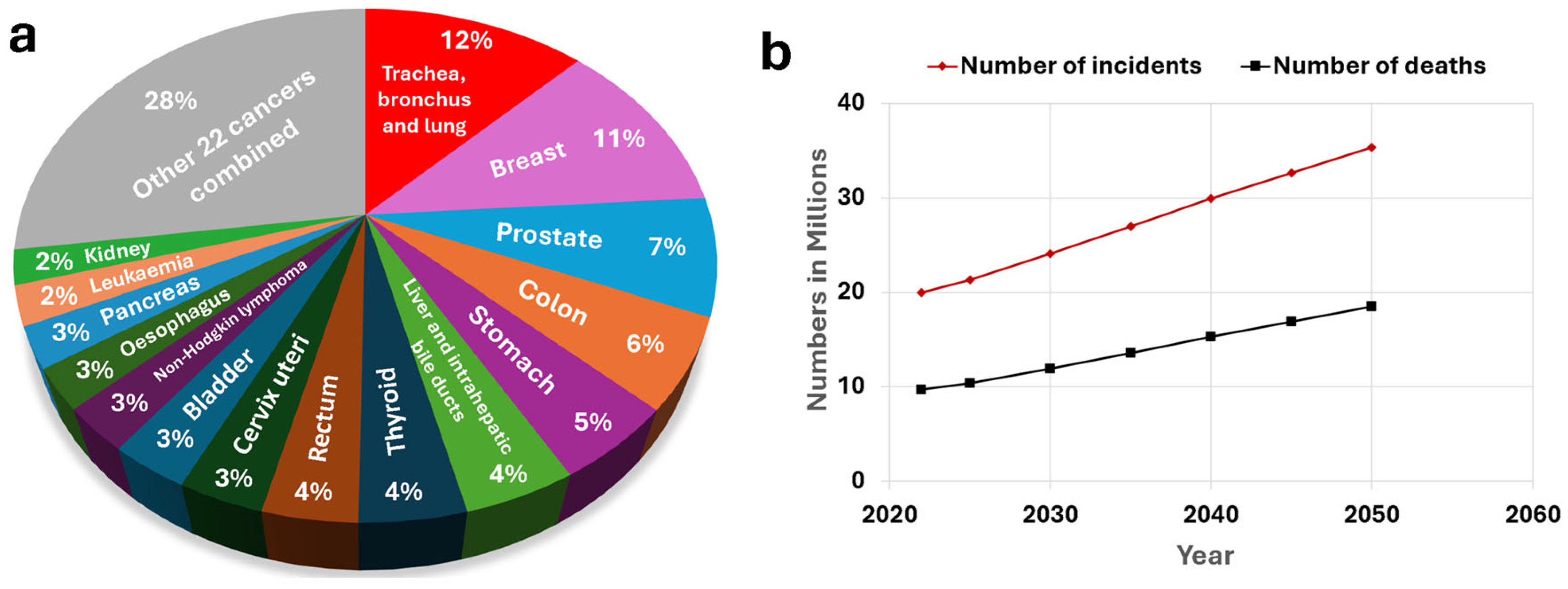 Molecules 30 02364 g001