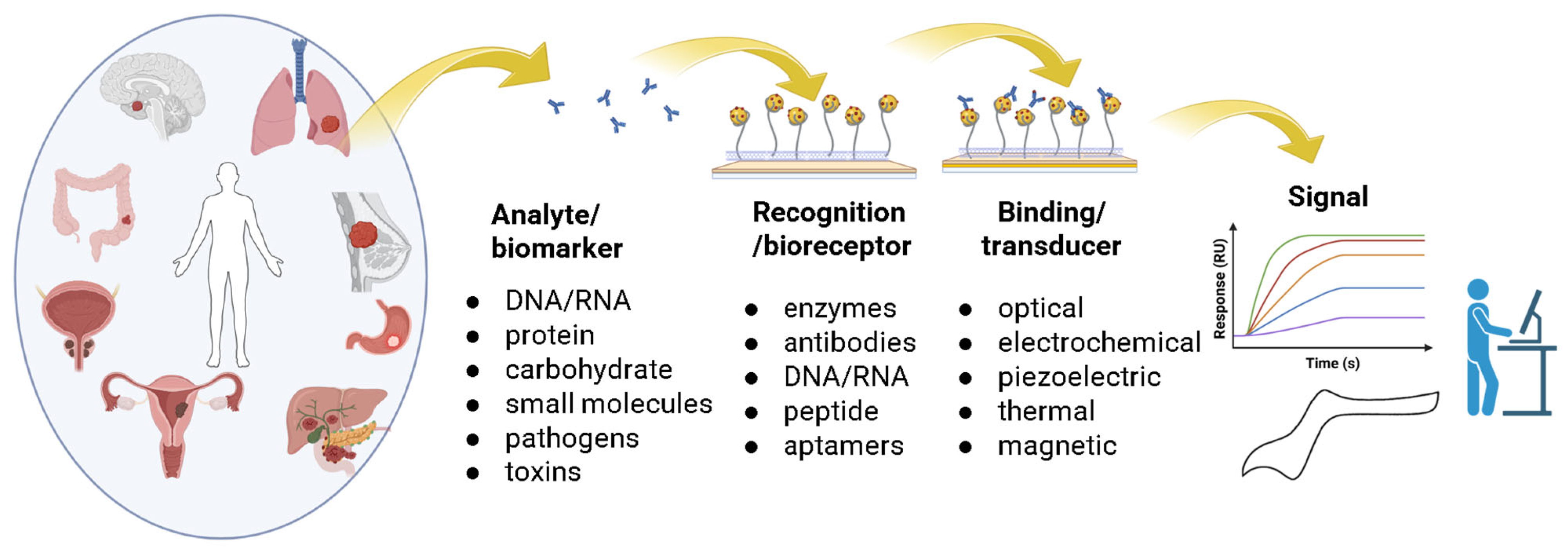 Molecules 30 02364 g004