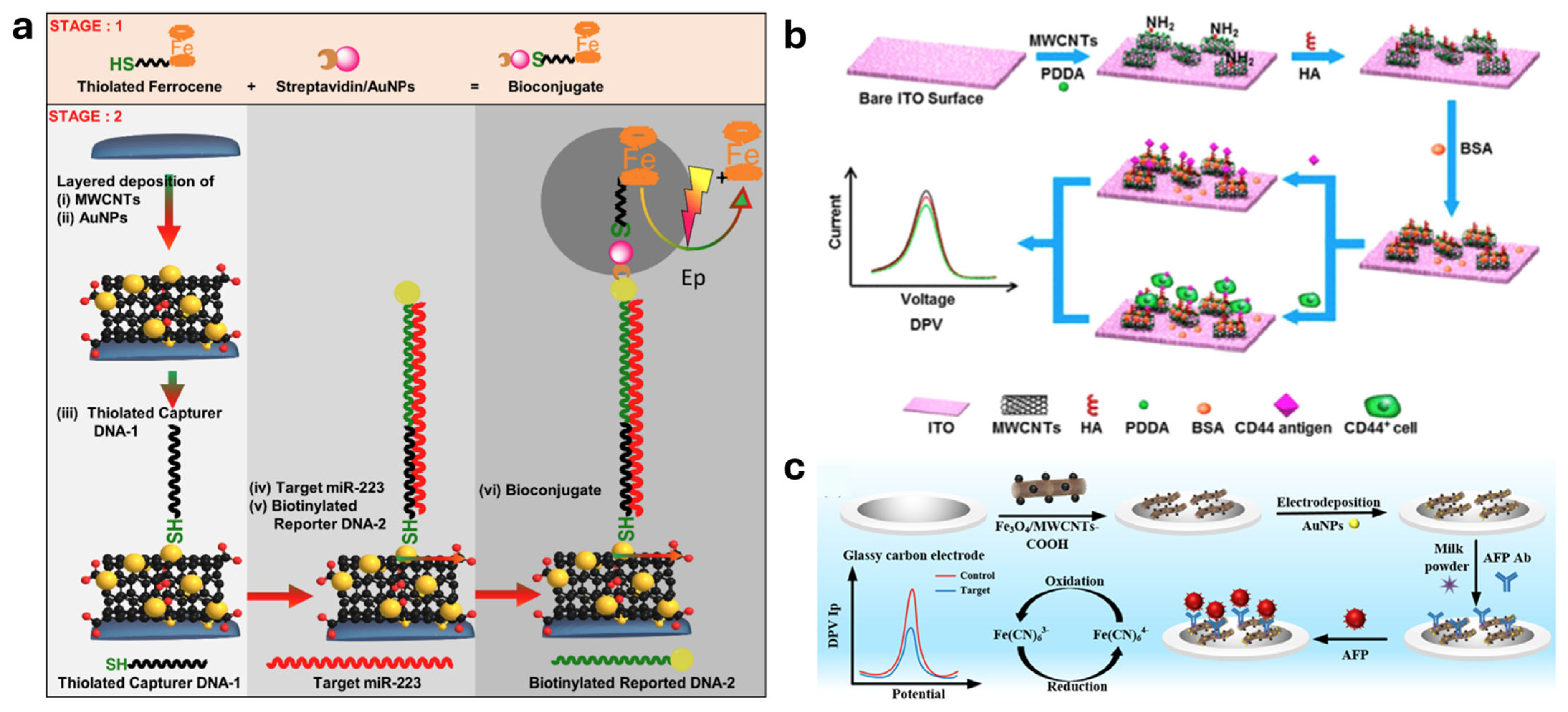 Molecules 30 02364 g006