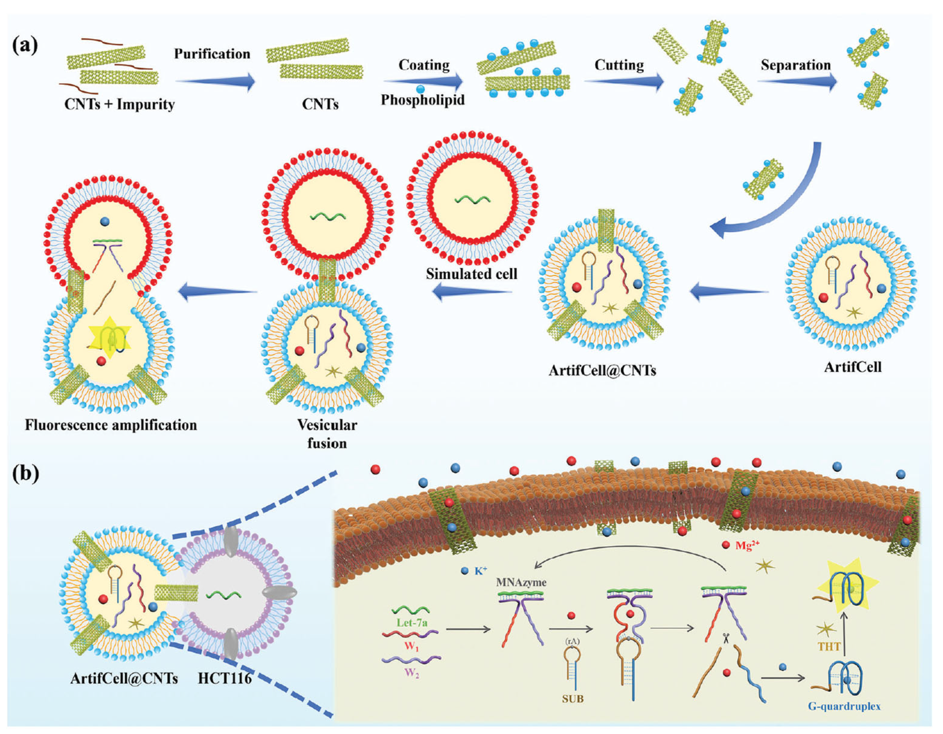 Molecules 30 02364 g008
