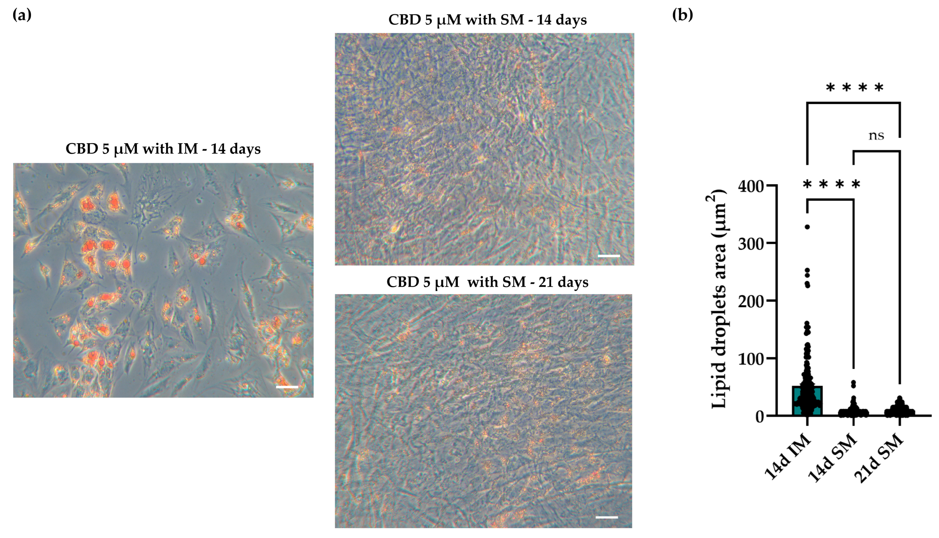 Molecules 30 02367 g006