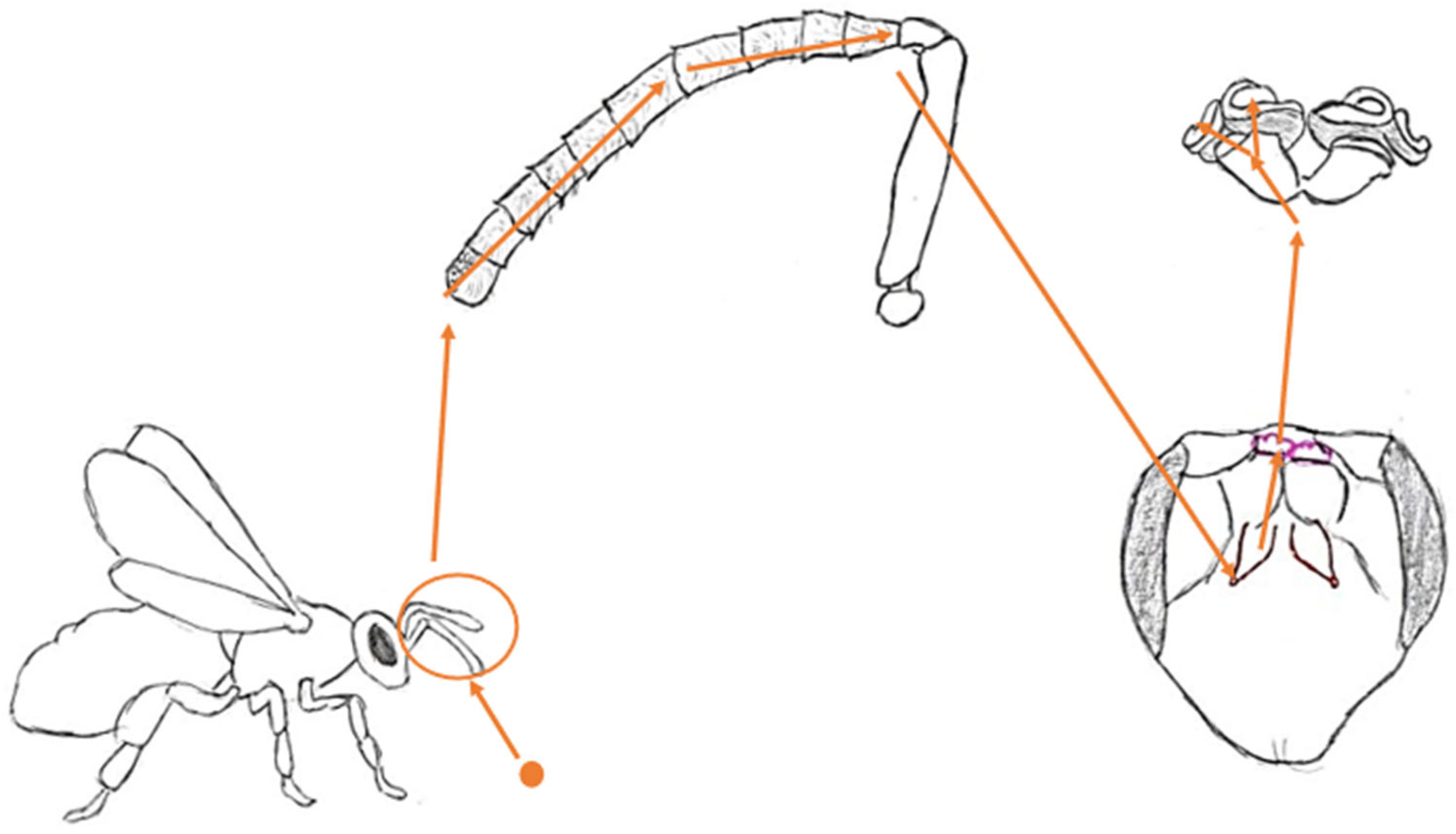 Molecules 30 02369 g001