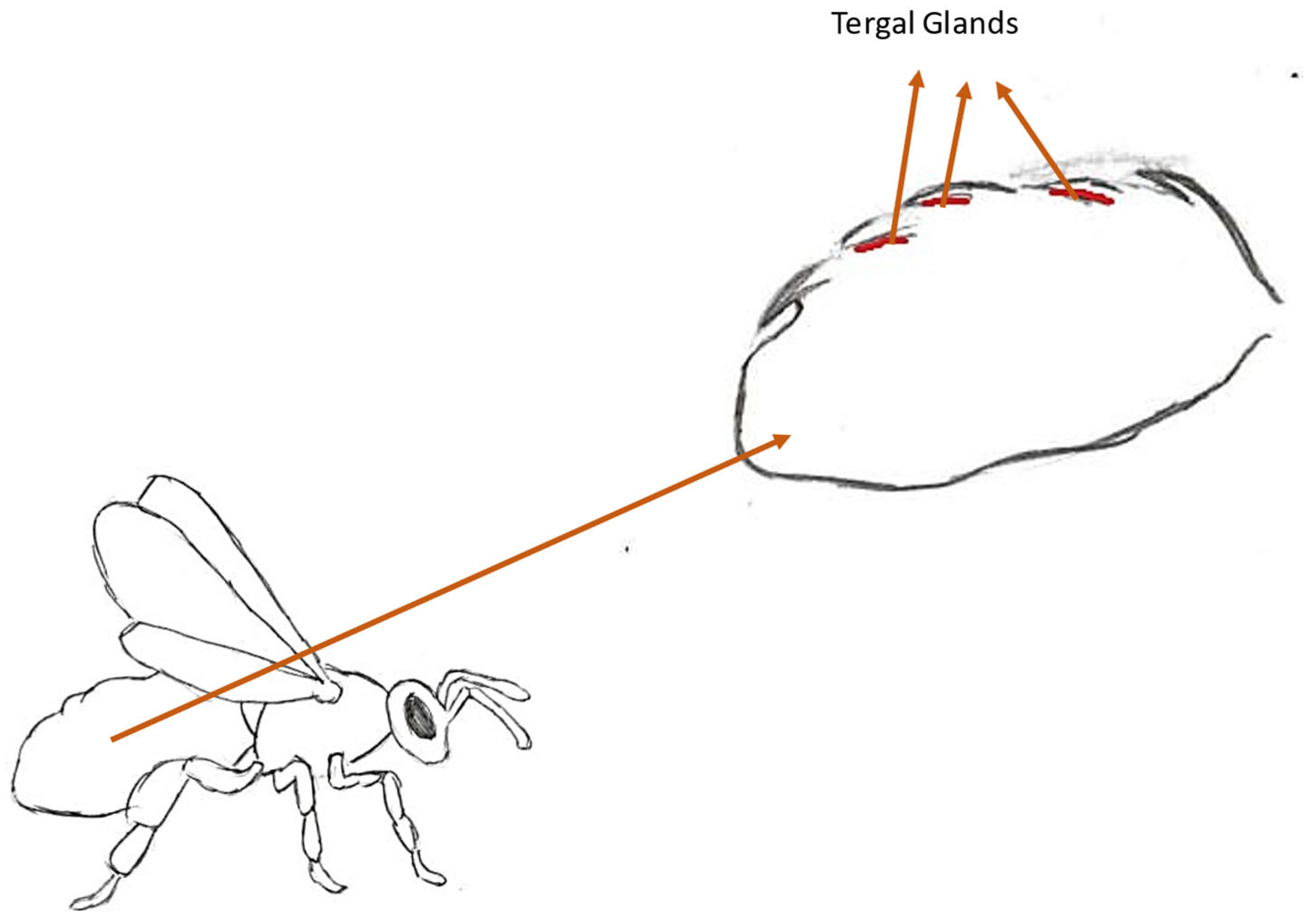 Molecules 30 02369 g006