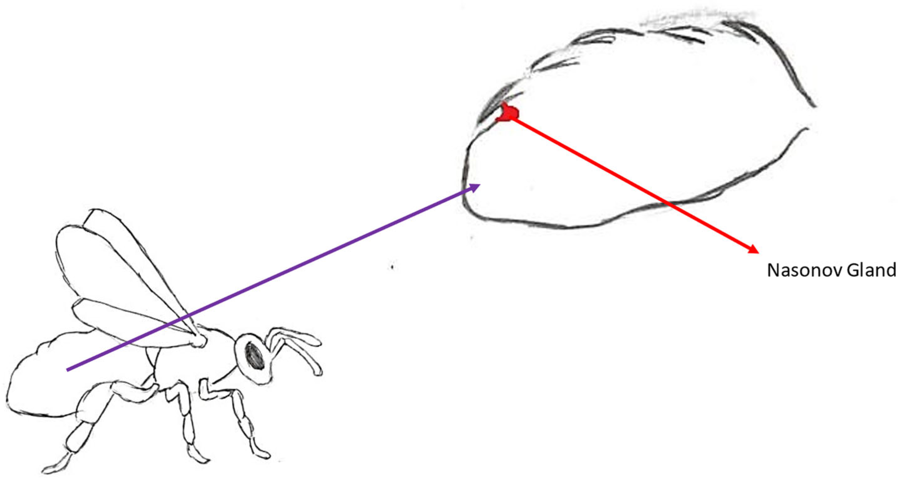 Molecules 30 02369 g007