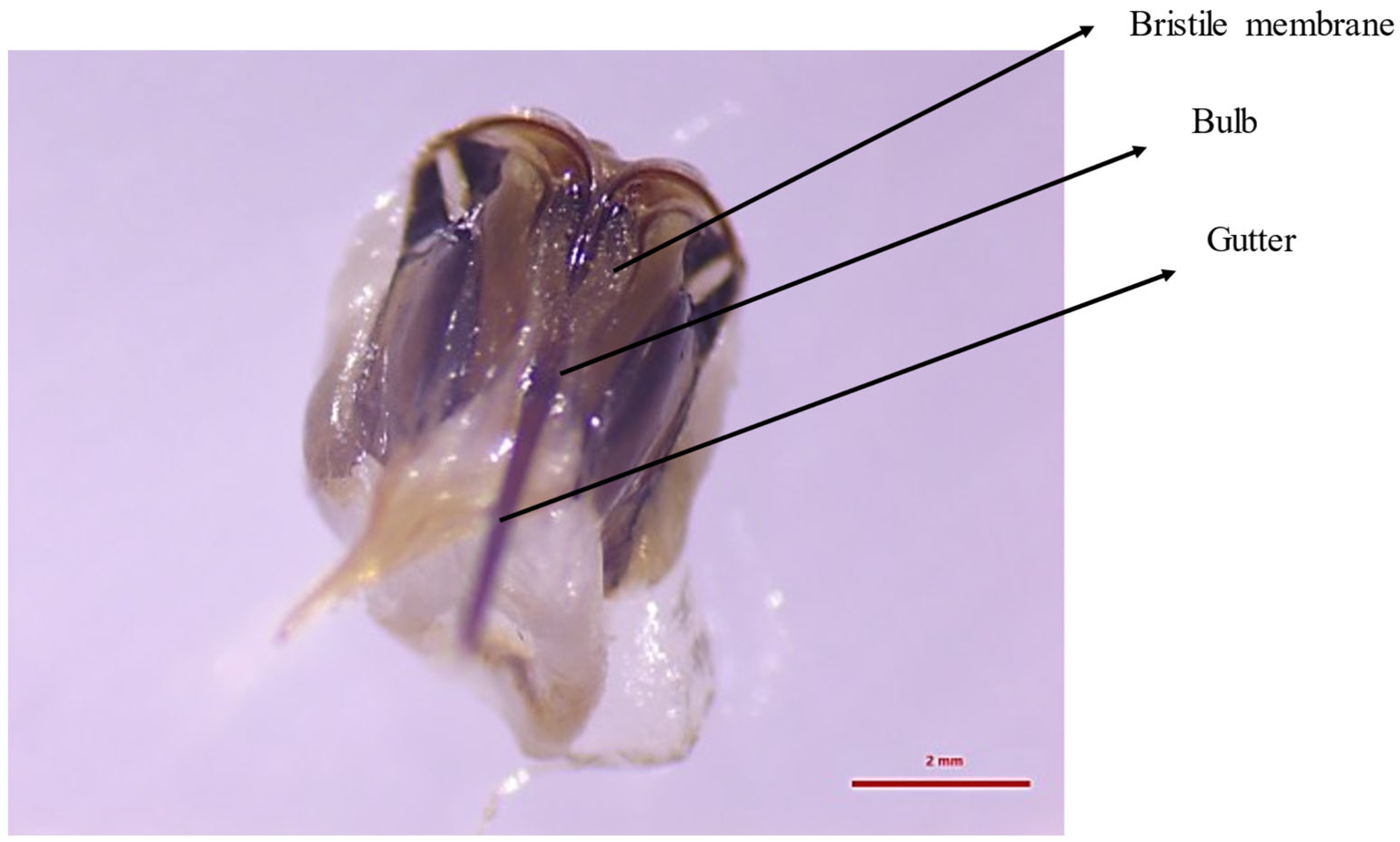 Molecules 30 02369 g008