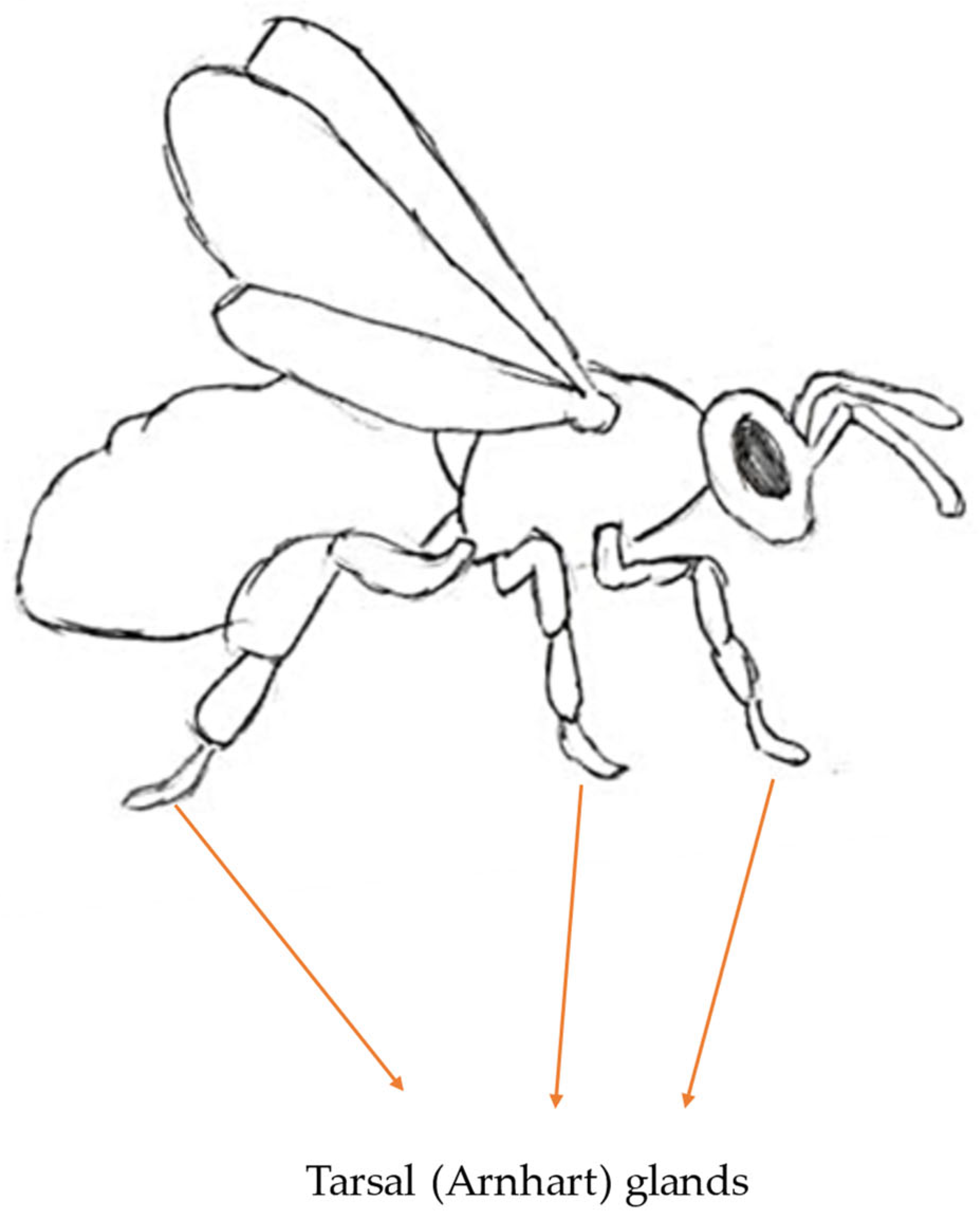 Molecules 30 02369 g010