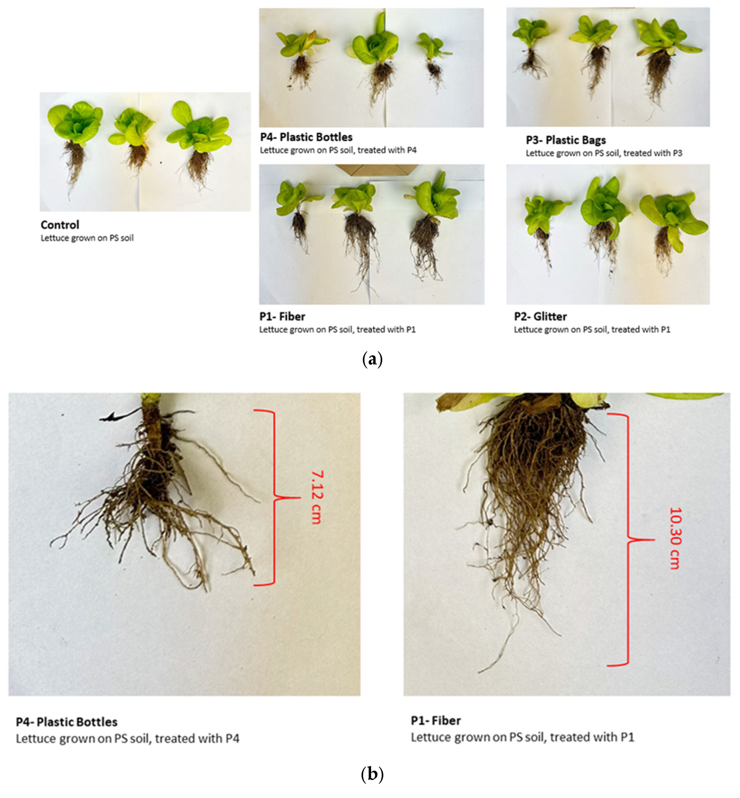 Molecules 30 02370 g008