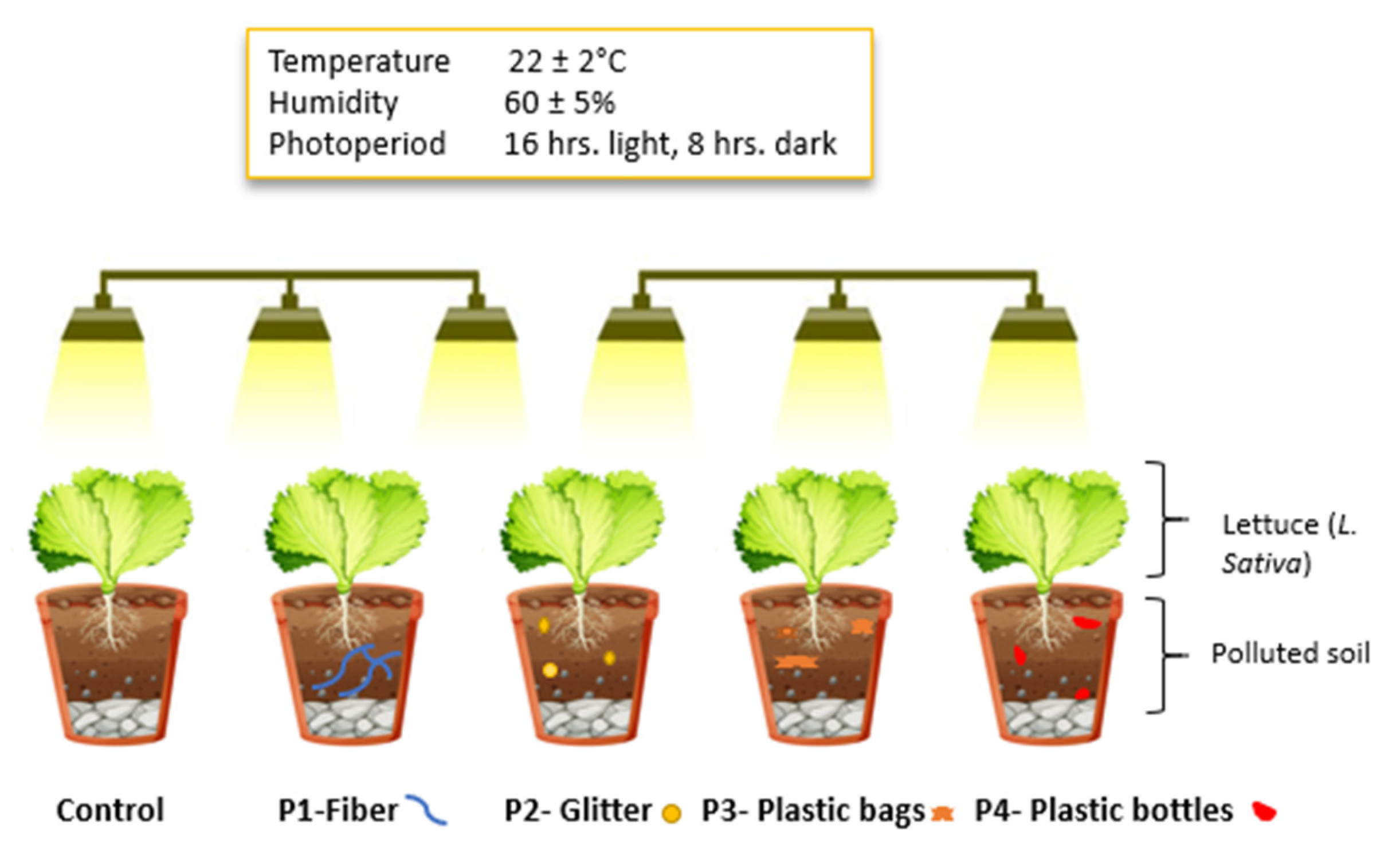 Molecules 30 02370 g013