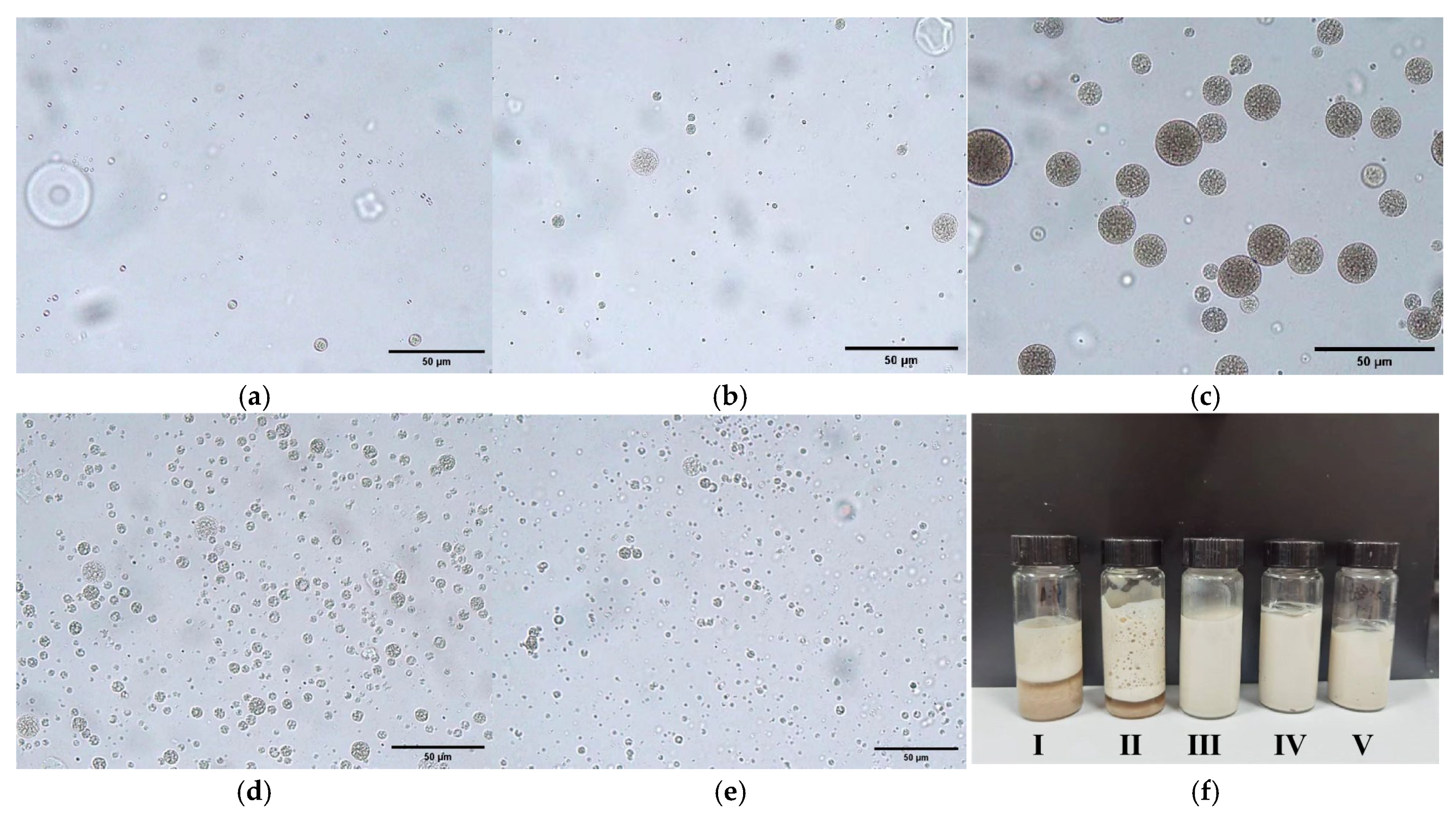 Molecules 30 02373 g001