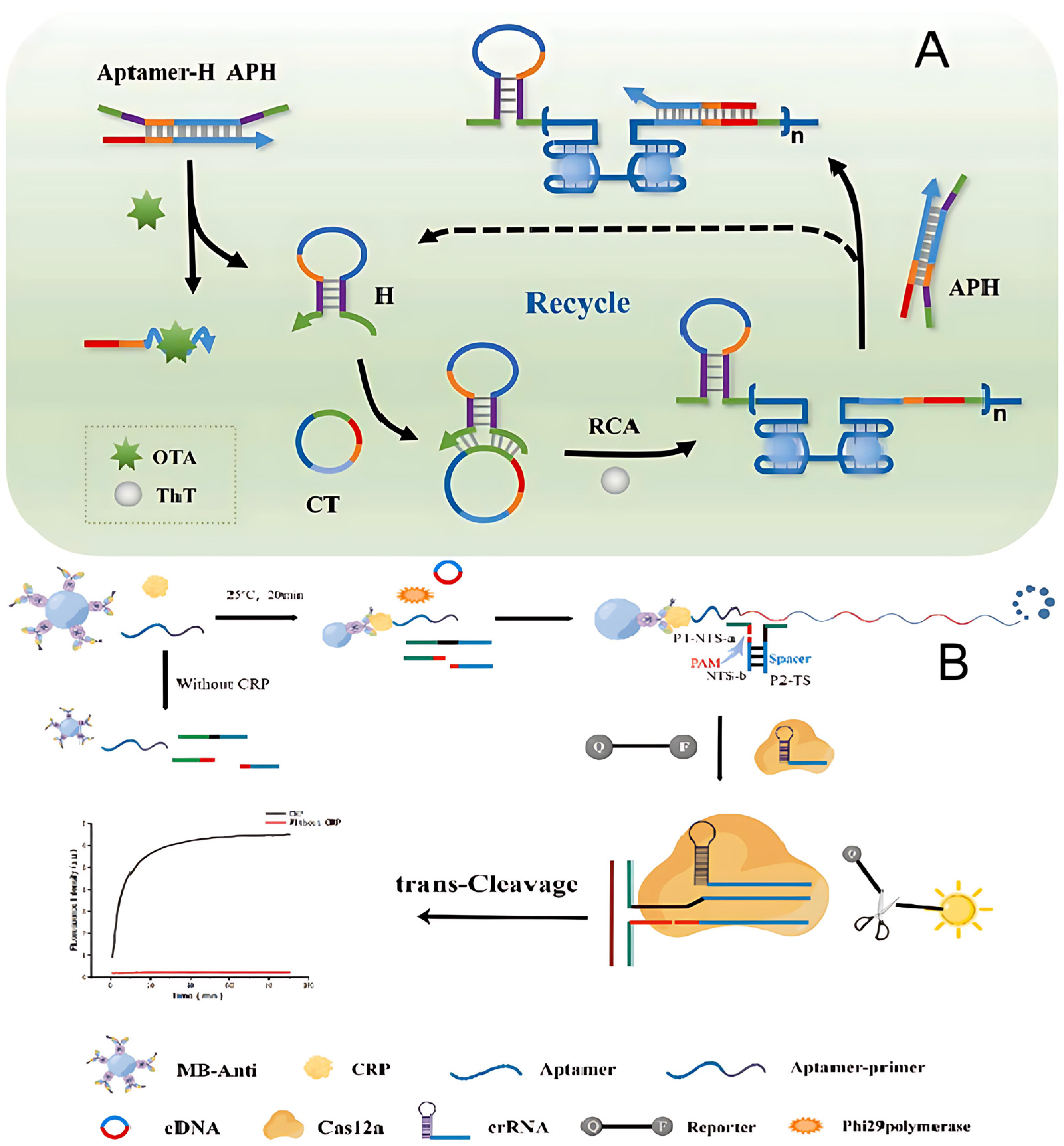 Molecules 30 02375 g003