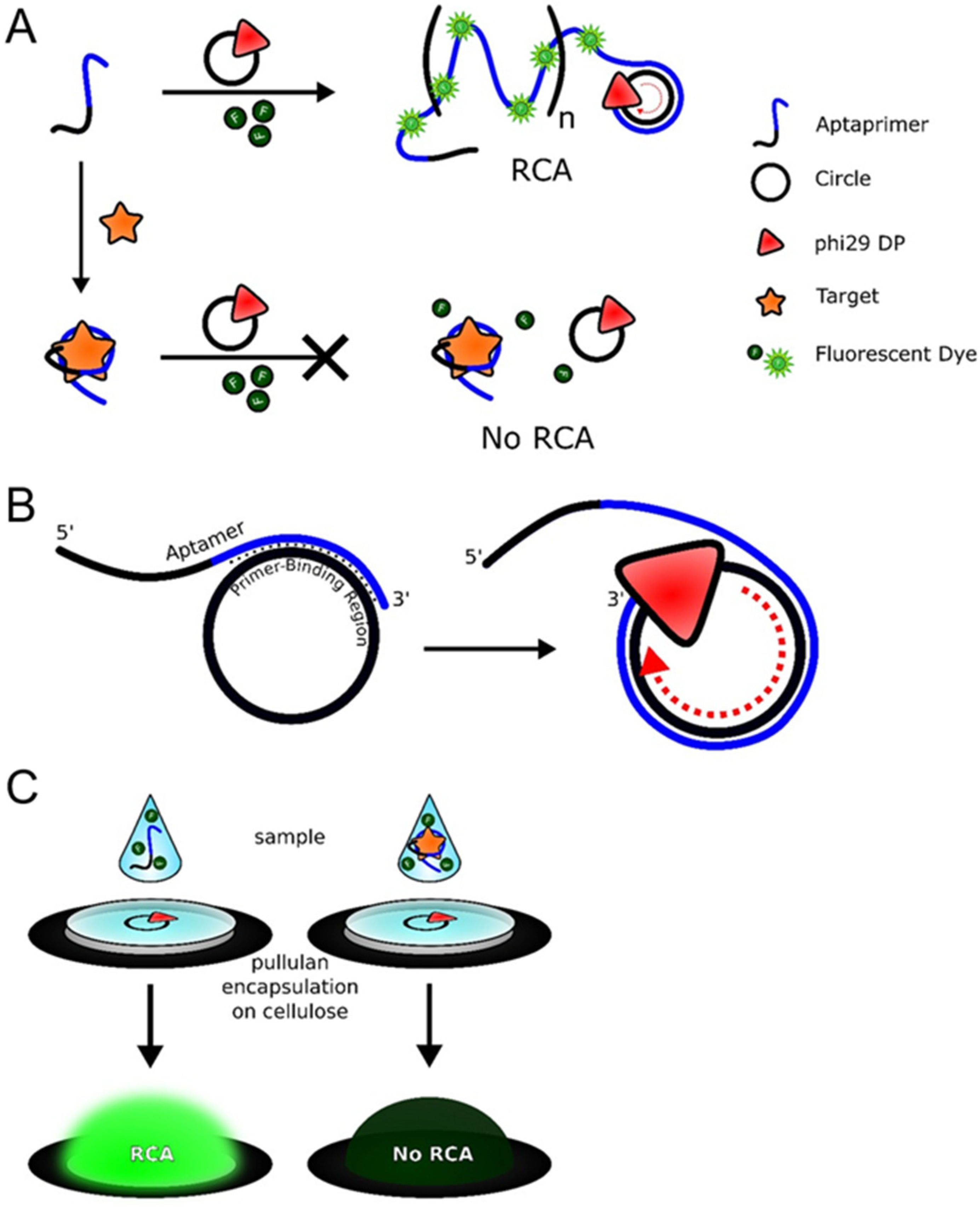Molecules 30 02375 g005