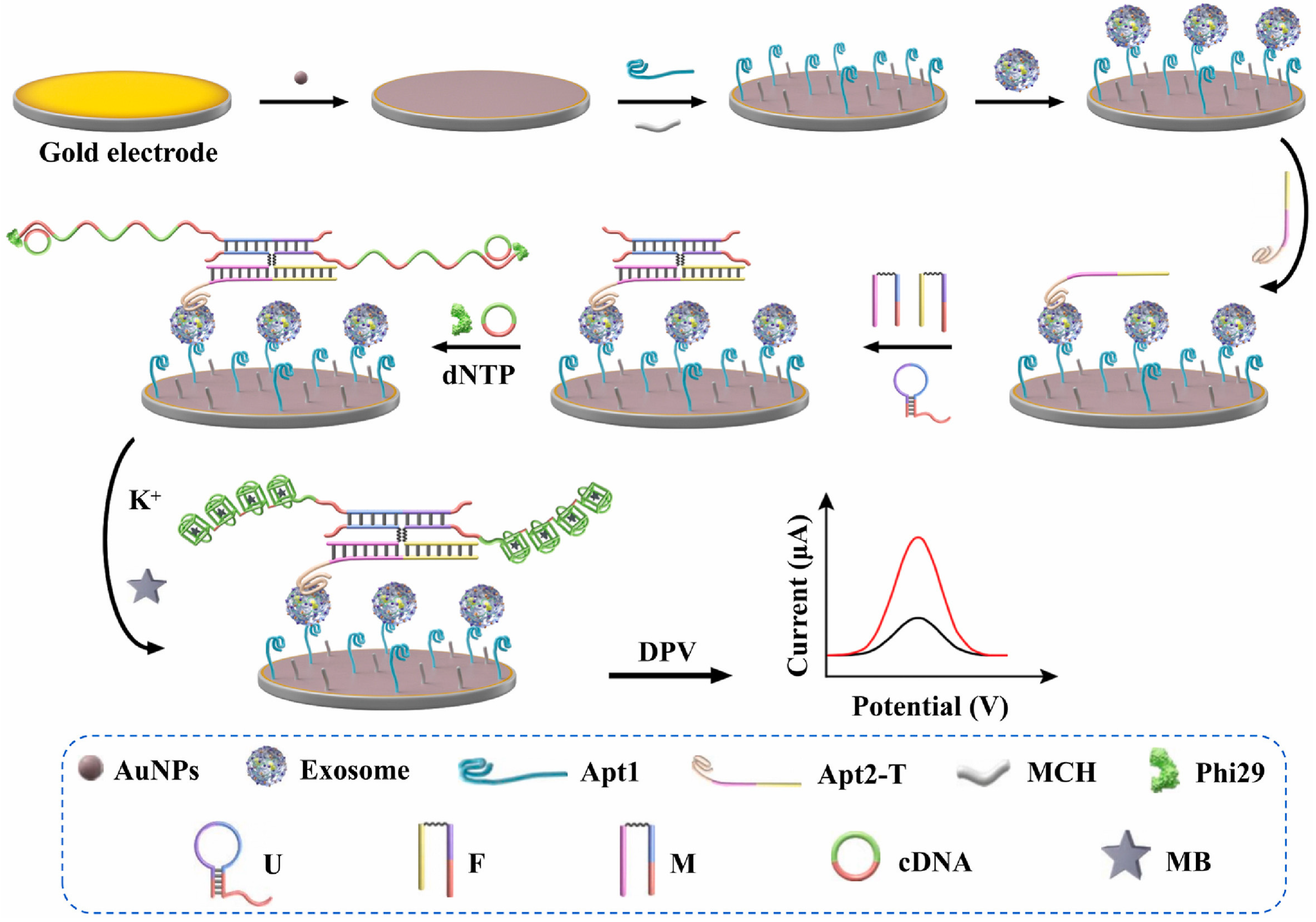 Molecules 30 02375 g008