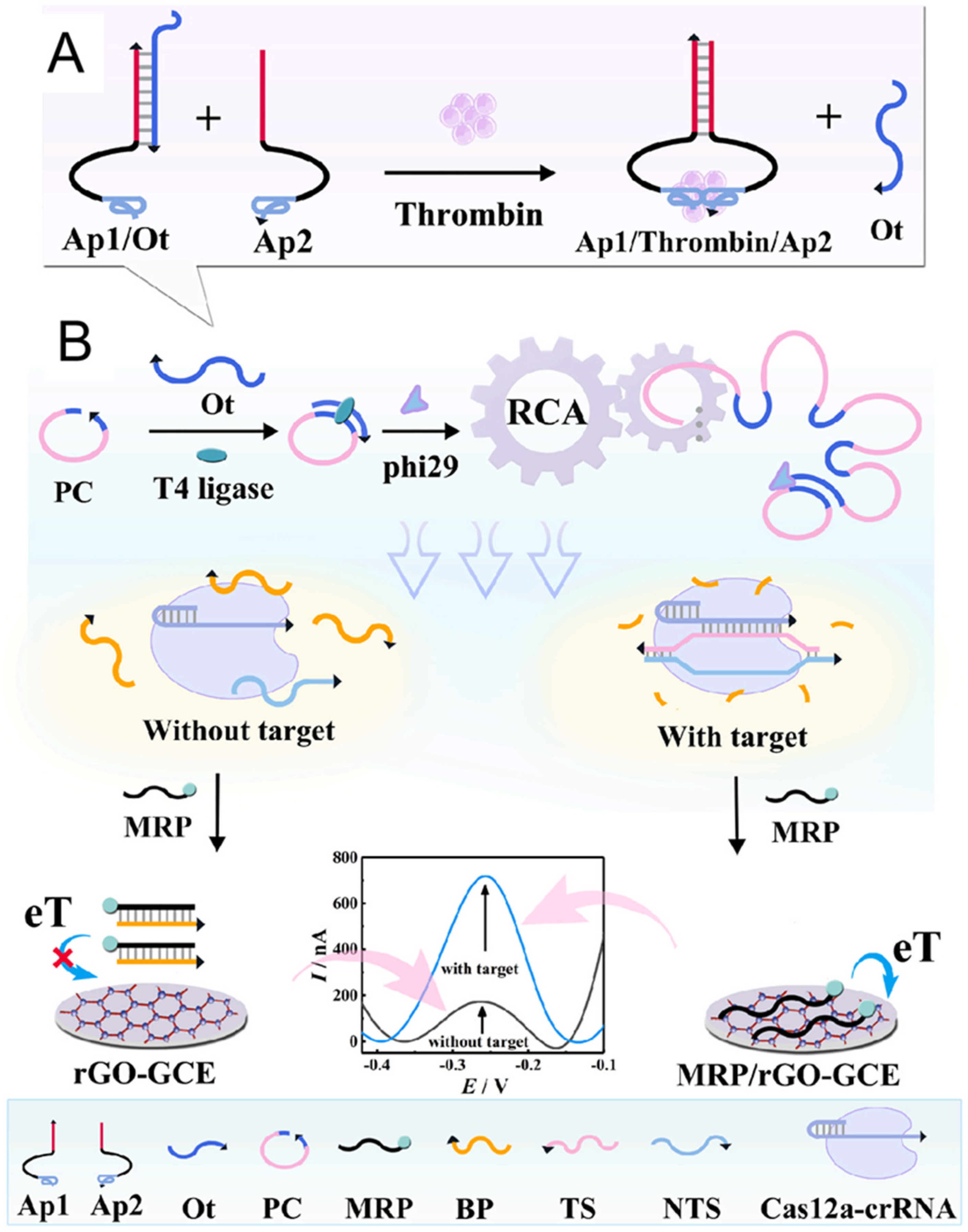 Molecules 30 02375 g009