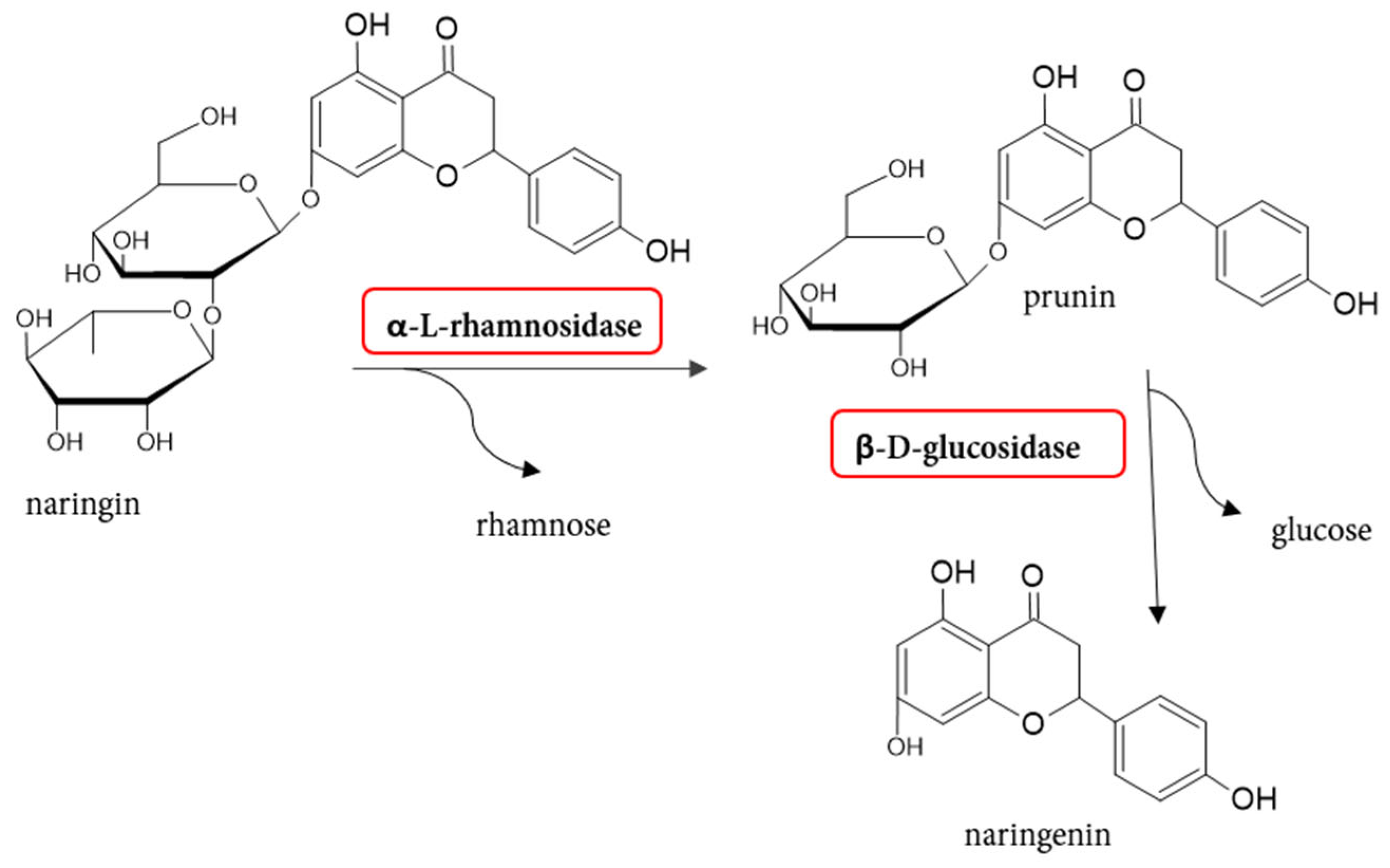 Molecules 30 02376 g002