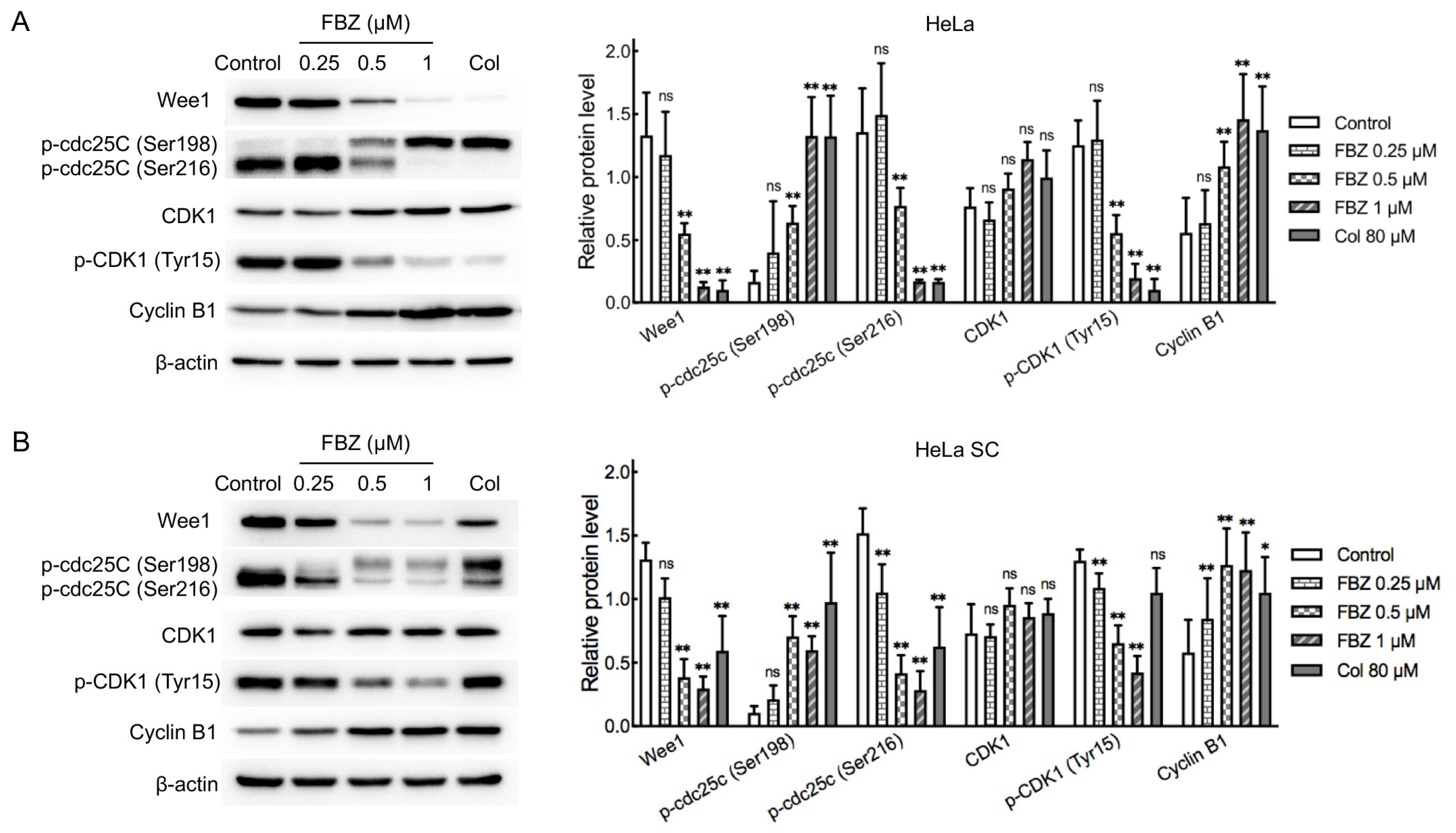 Molecules 30 02377 g003