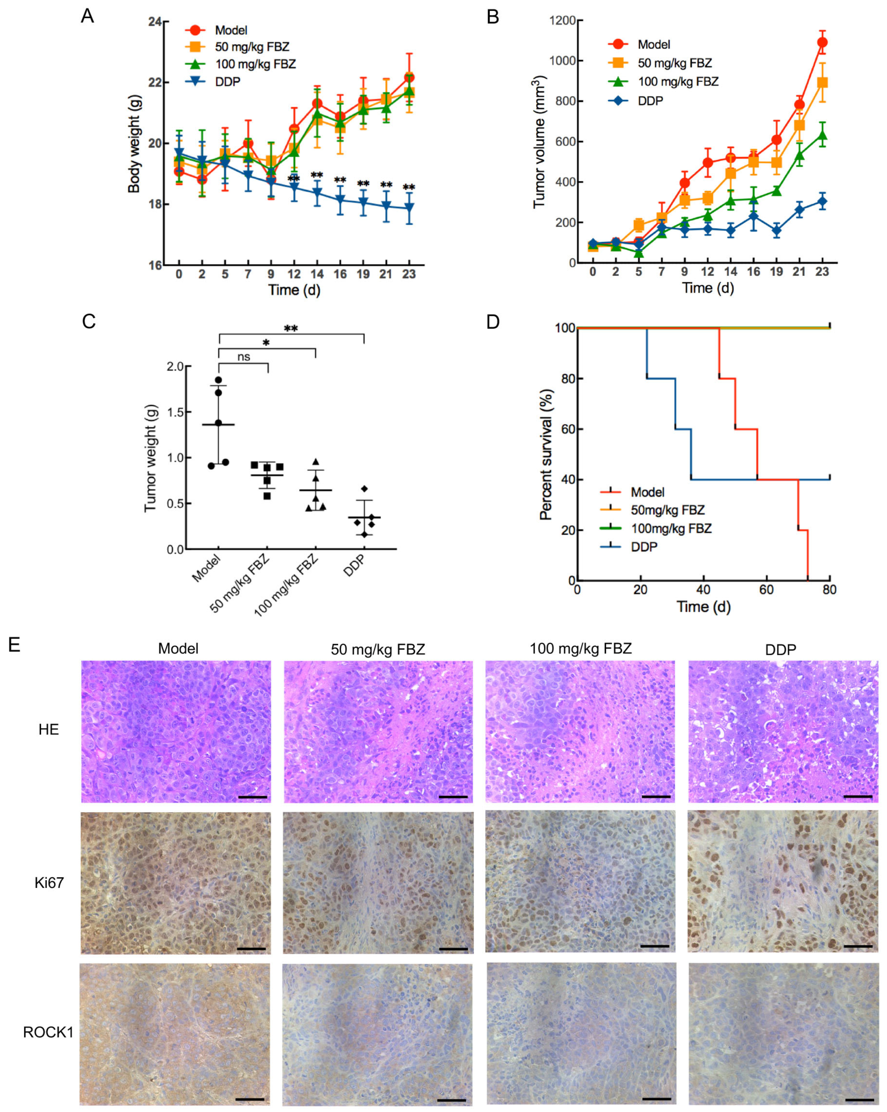 Molecules 30 02377 g004