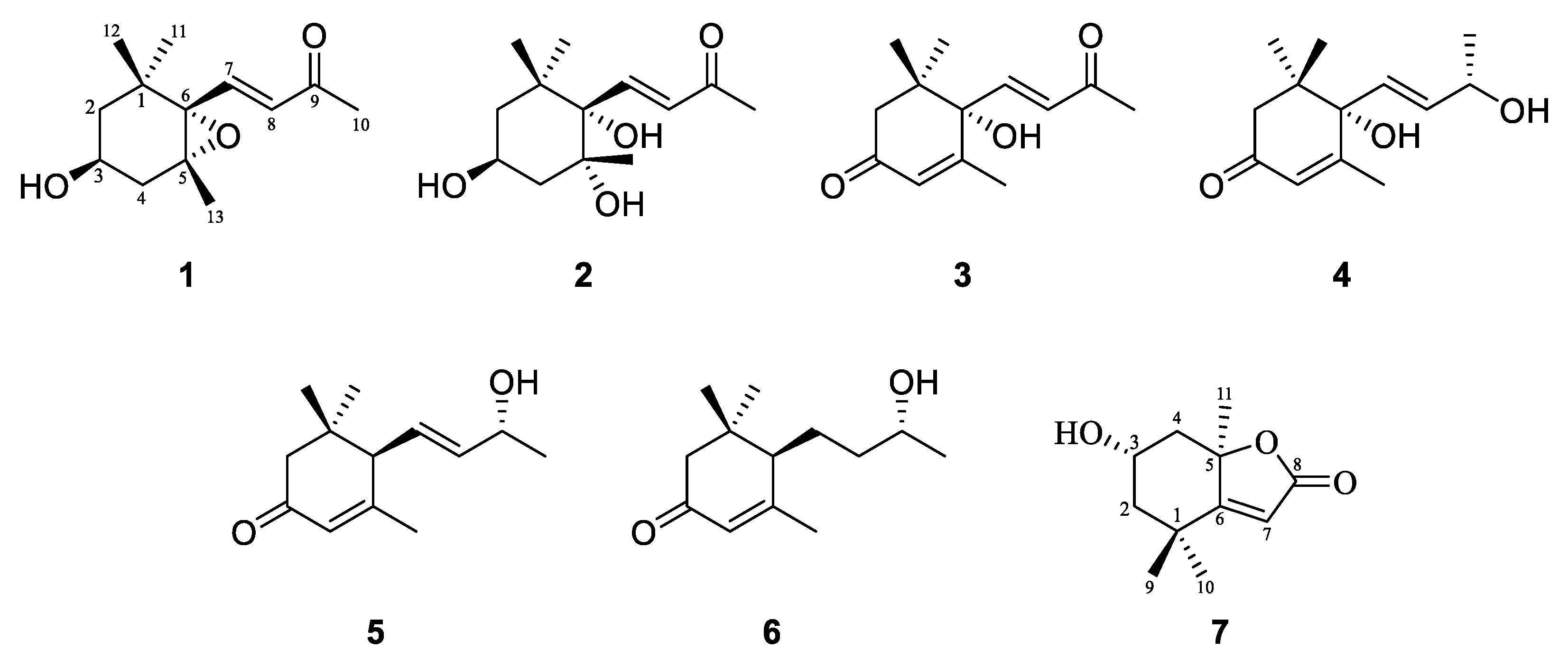 Molecules 30 02384 g002