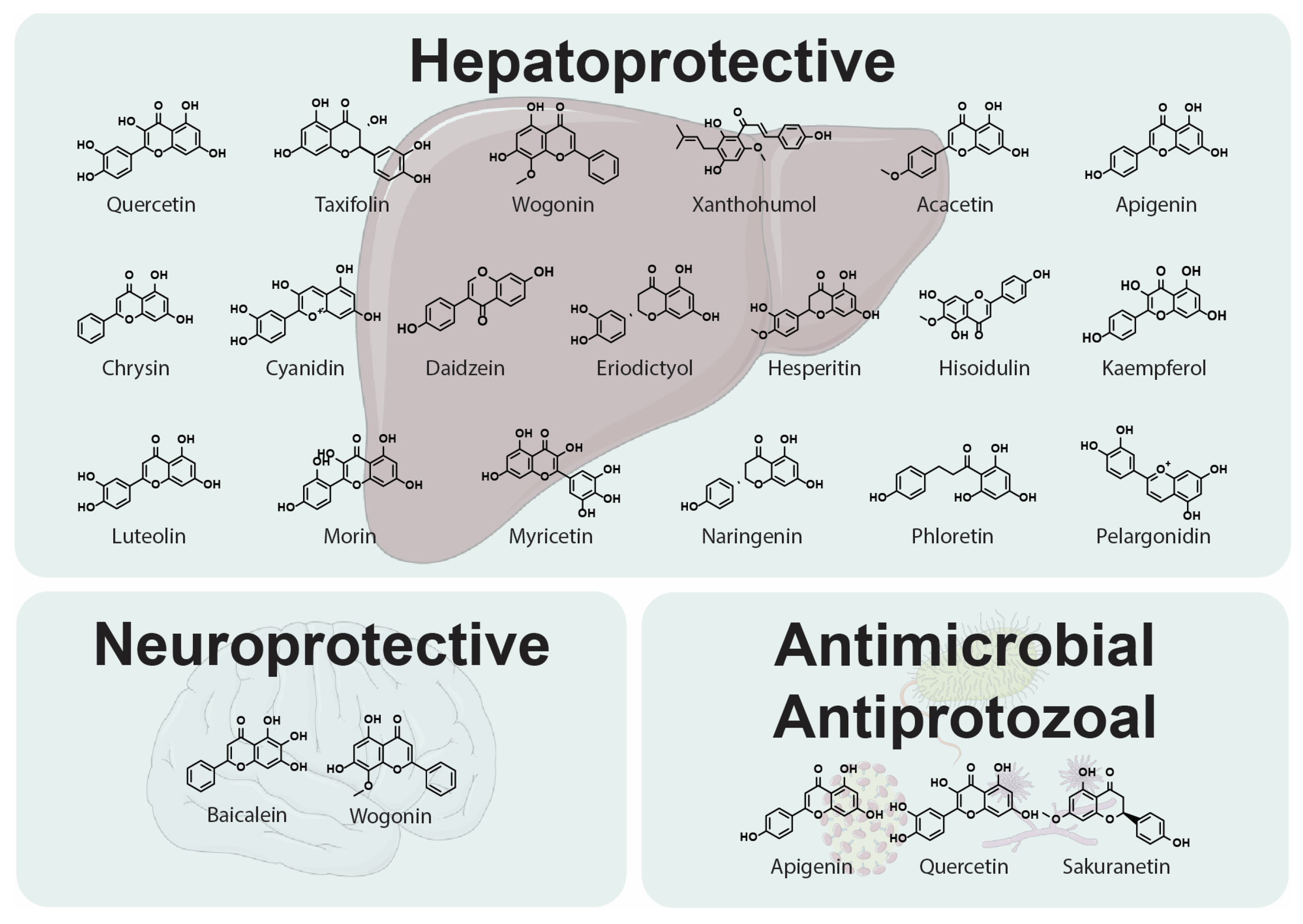 Molecules 30 02395 g003