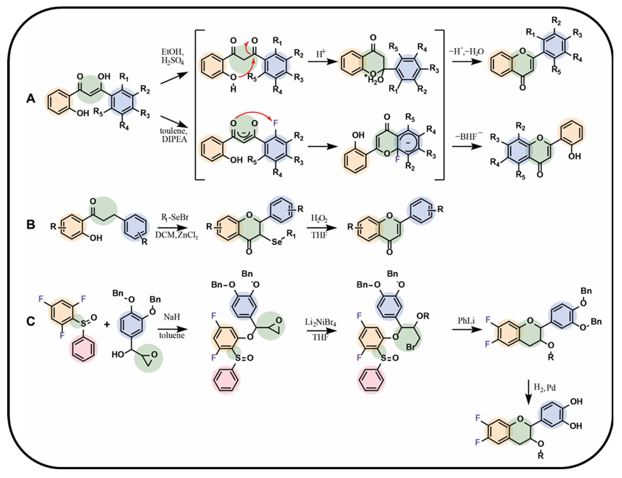 Molecules 30 02395 g005