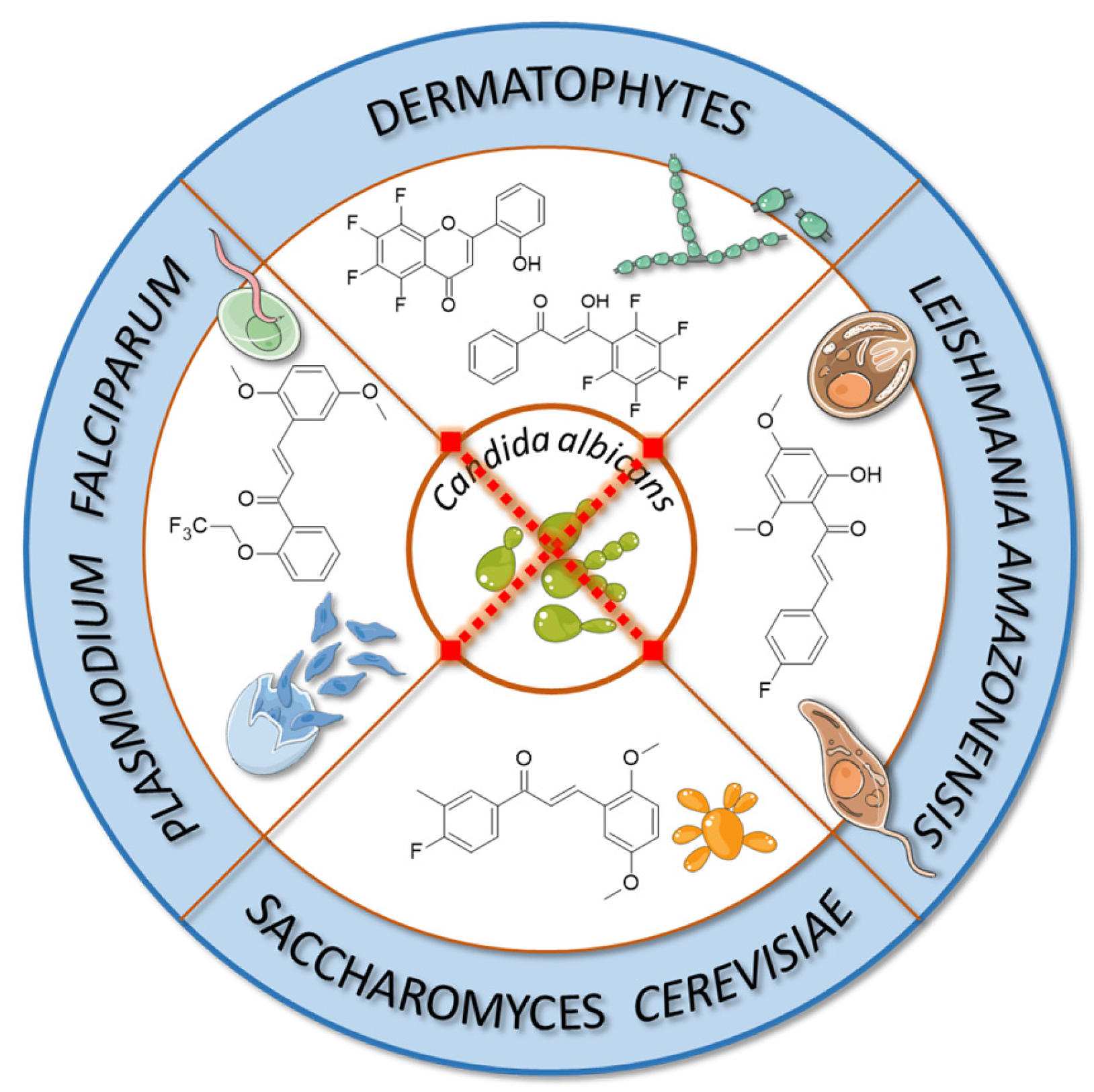 Molecules 30 02395 g011