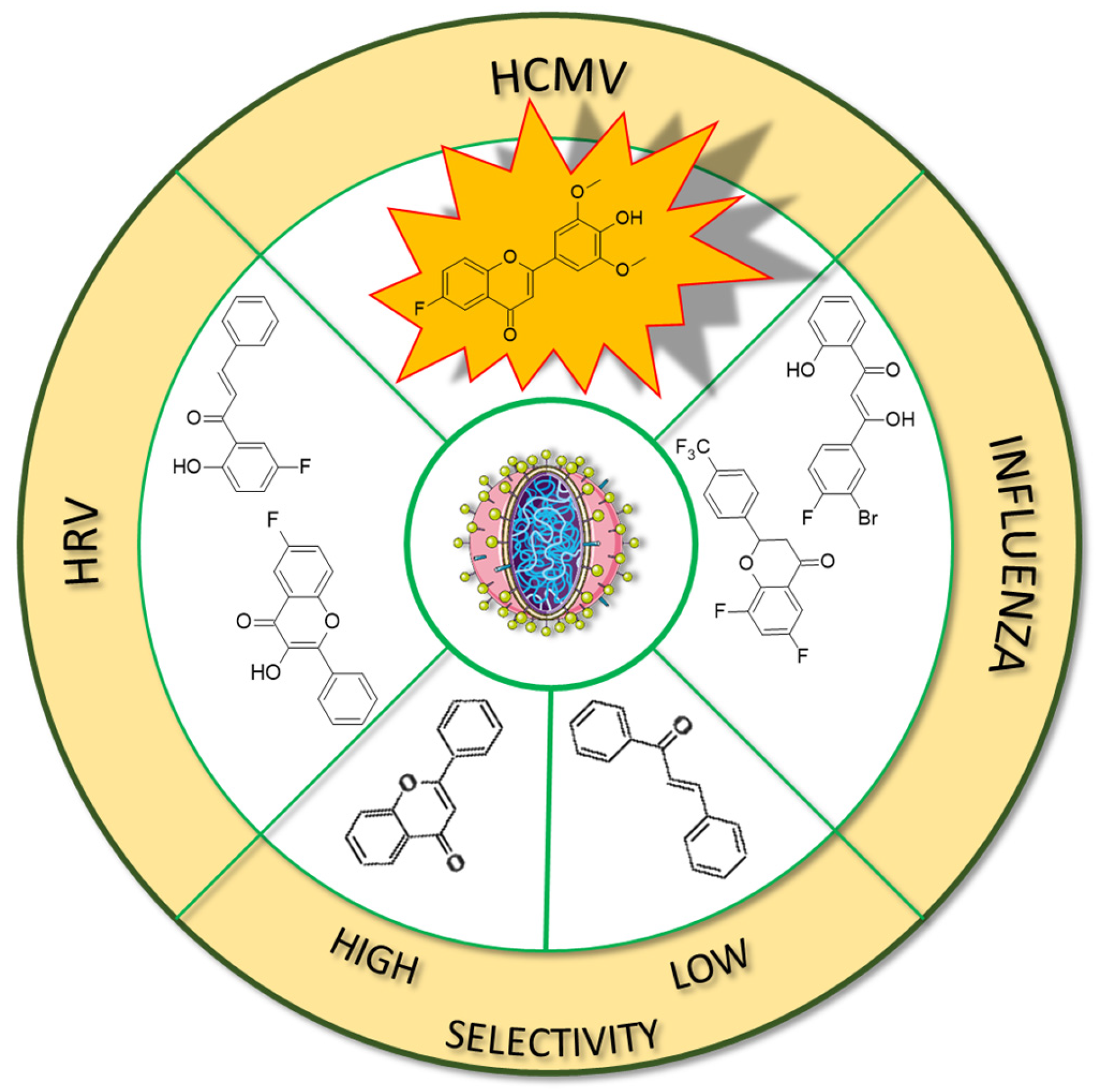 Molecules 30 02395 g013