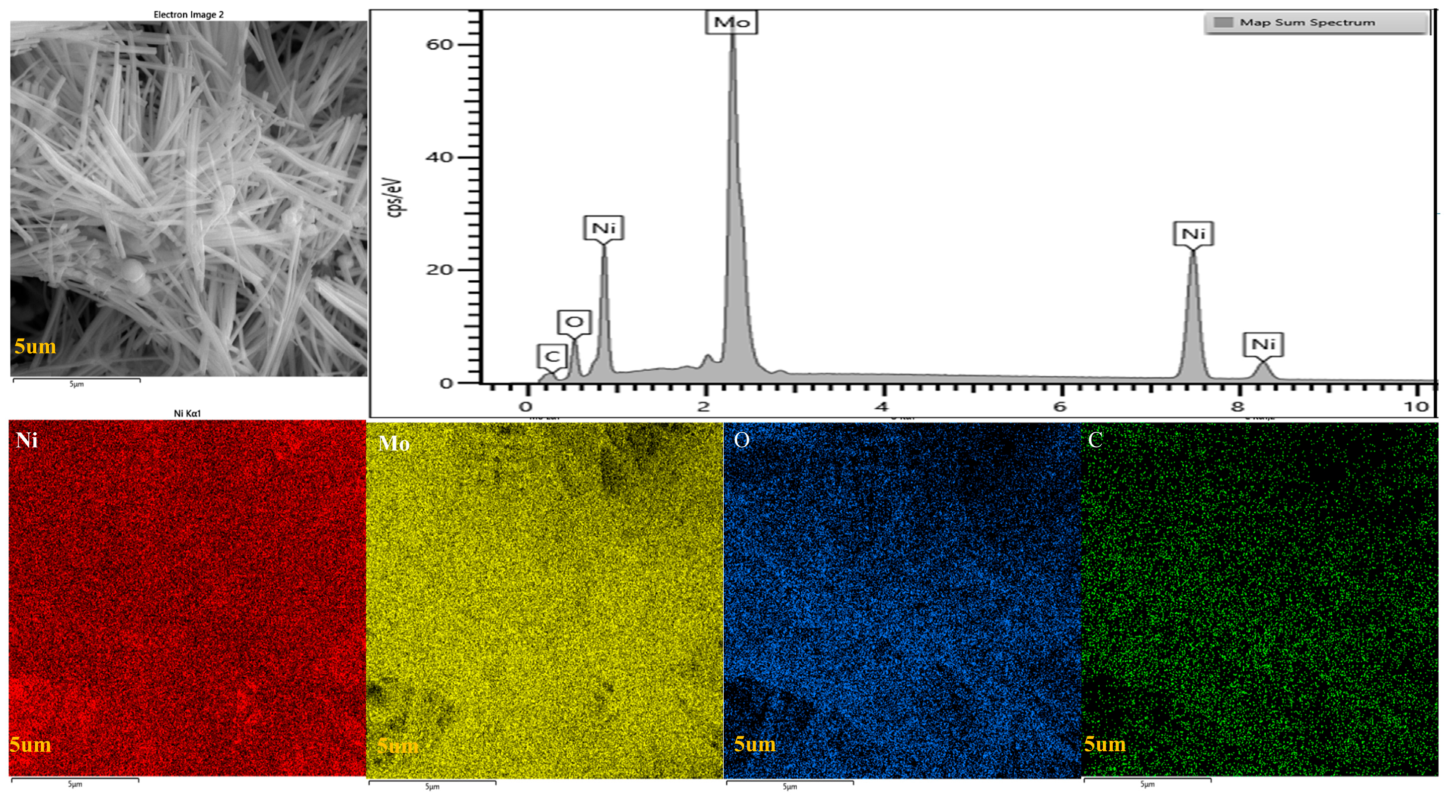 Molecules 30 02396 g003