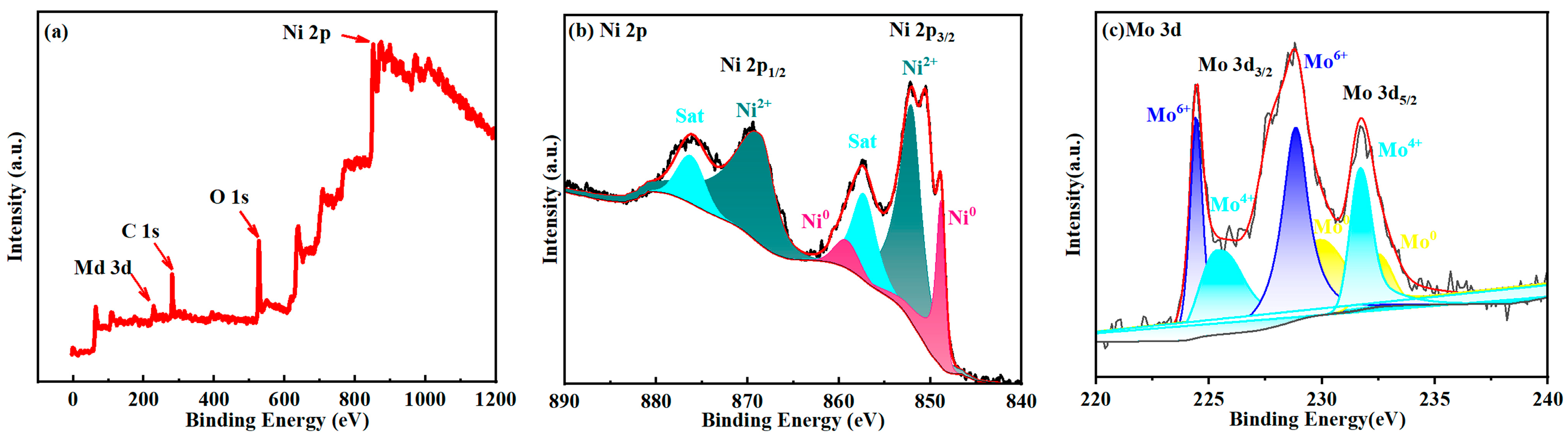 Molecules 30 02396 g004