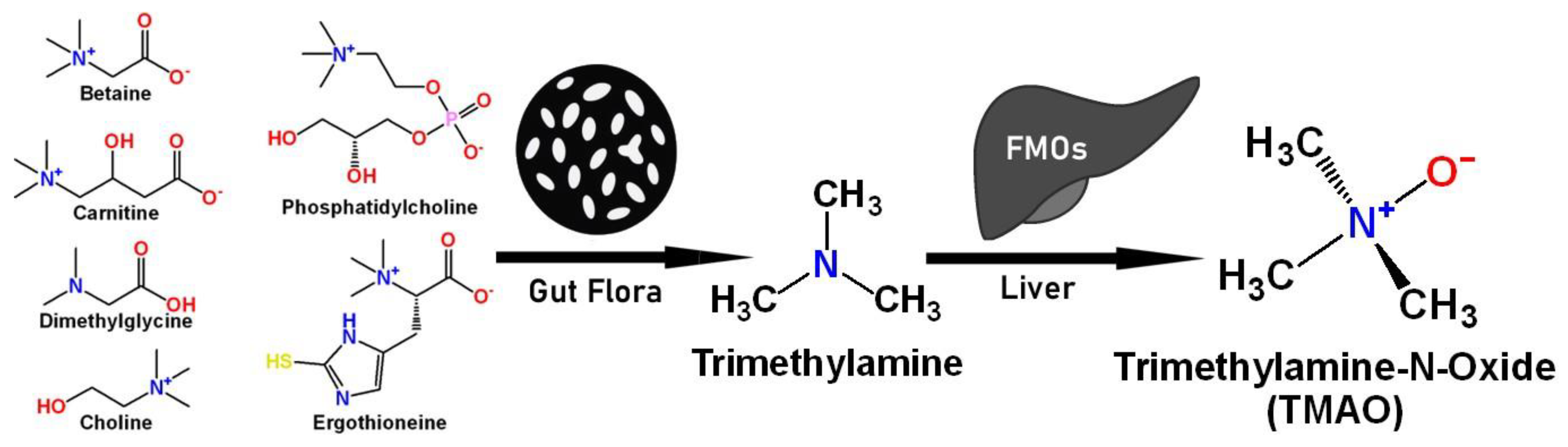 Molecules 30 02398 g001