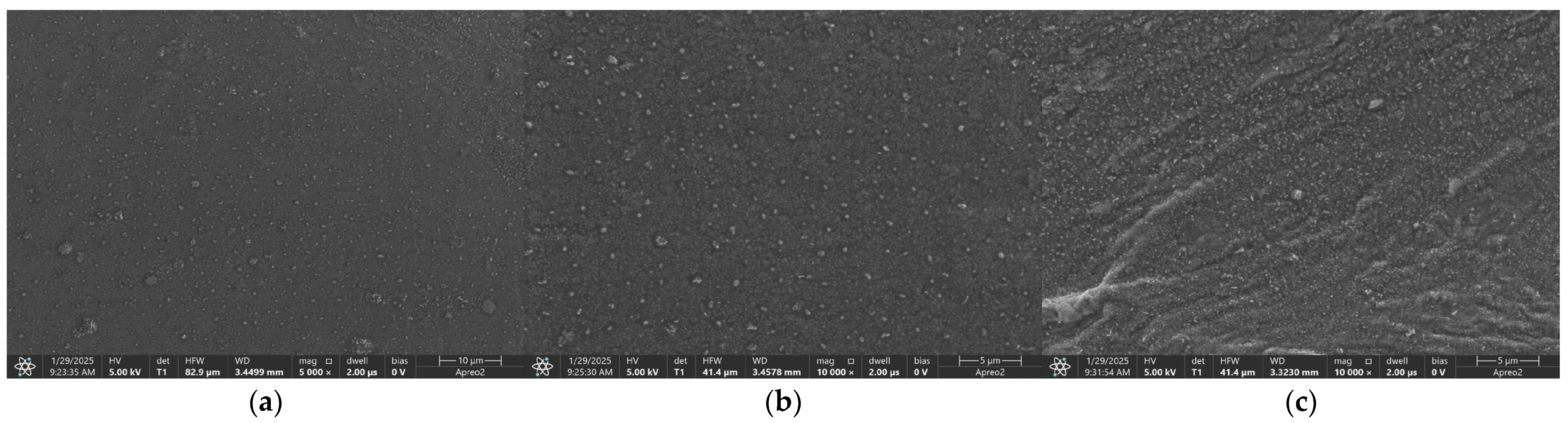 Molecules 30 02405 g001