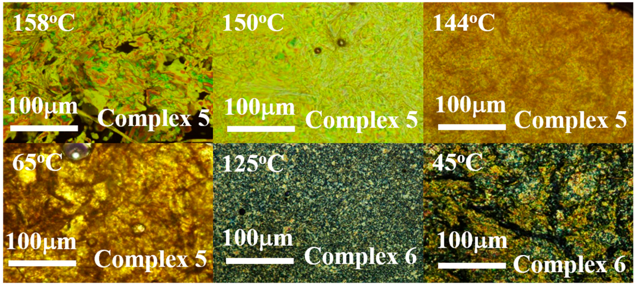 Molecules 30 02415 g005 Molecules 30 02415 g005