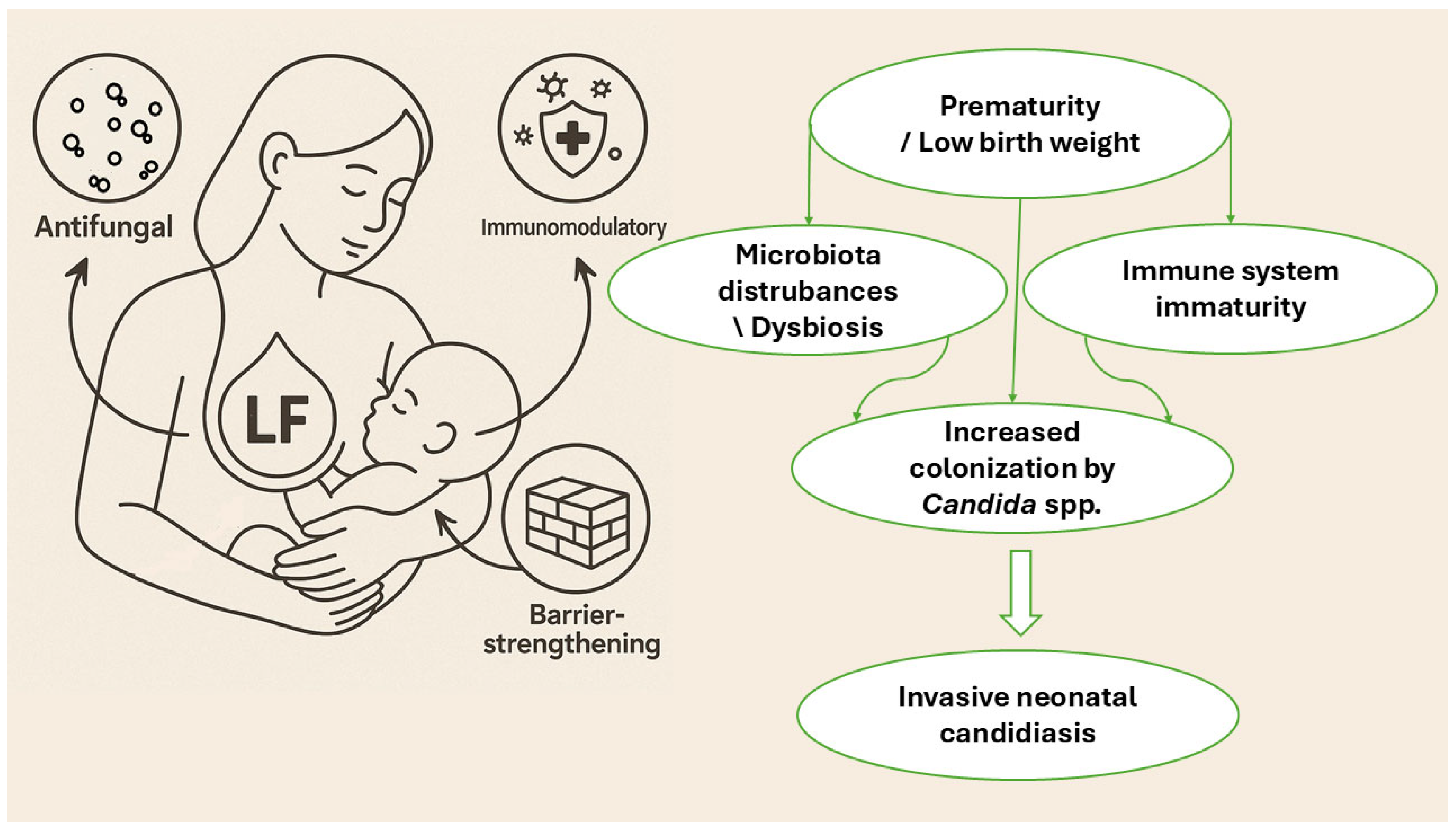 Molecules 30 02416 g001