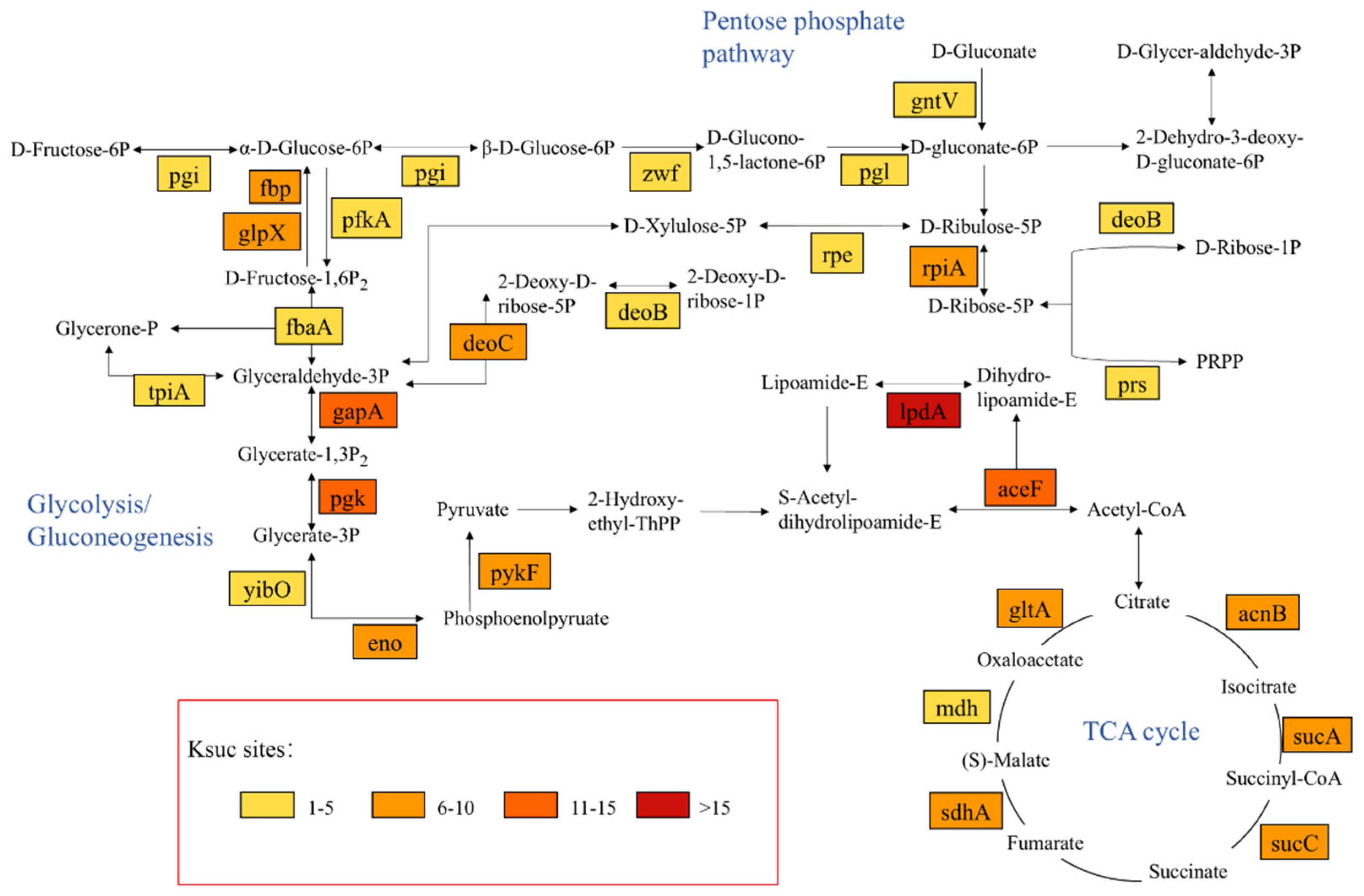 Molecules 30 02418 g005 Molecules 30 02418 g005