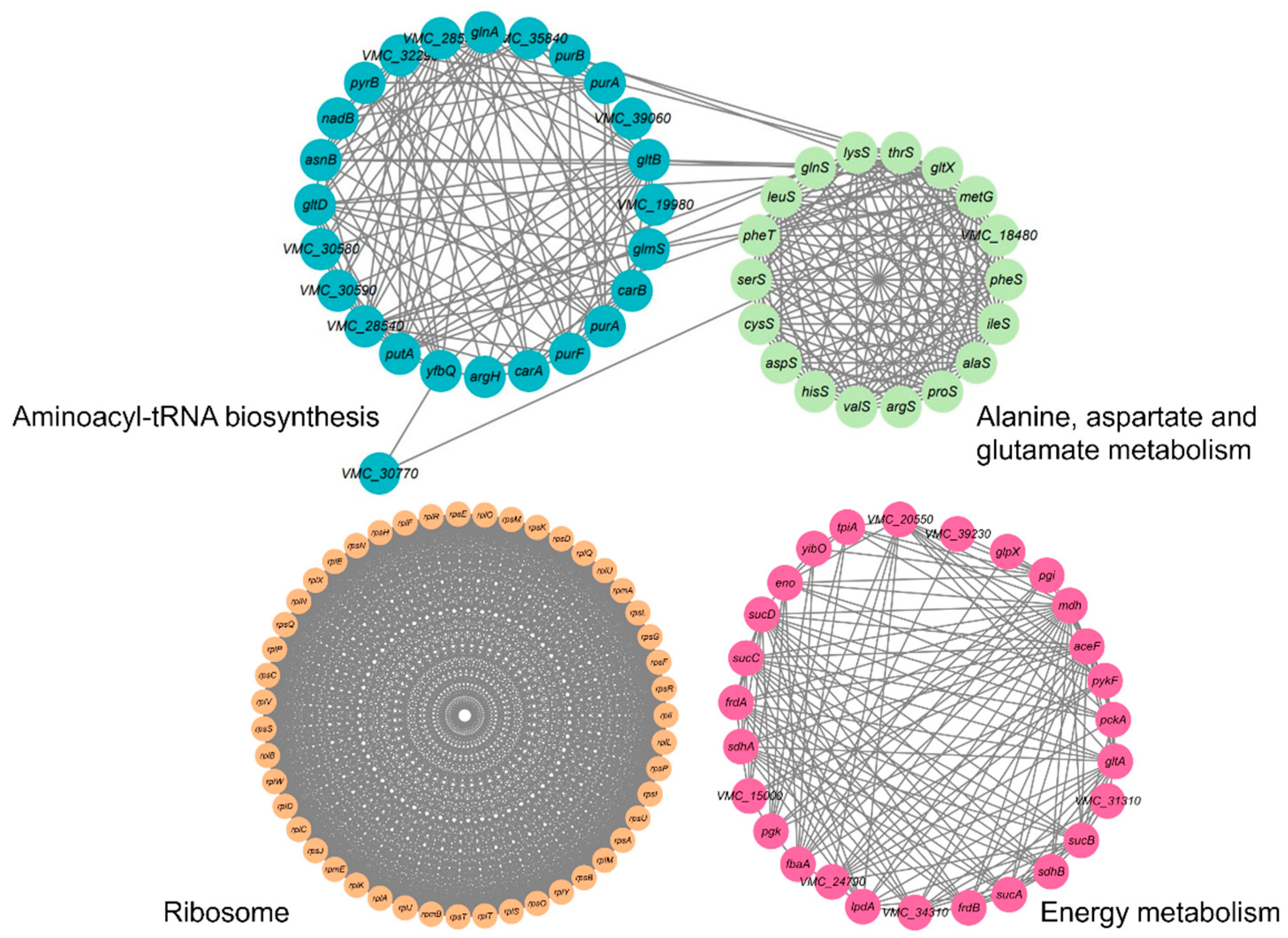 Molecules 30 02418 g006 Molecules 30 02418 g006