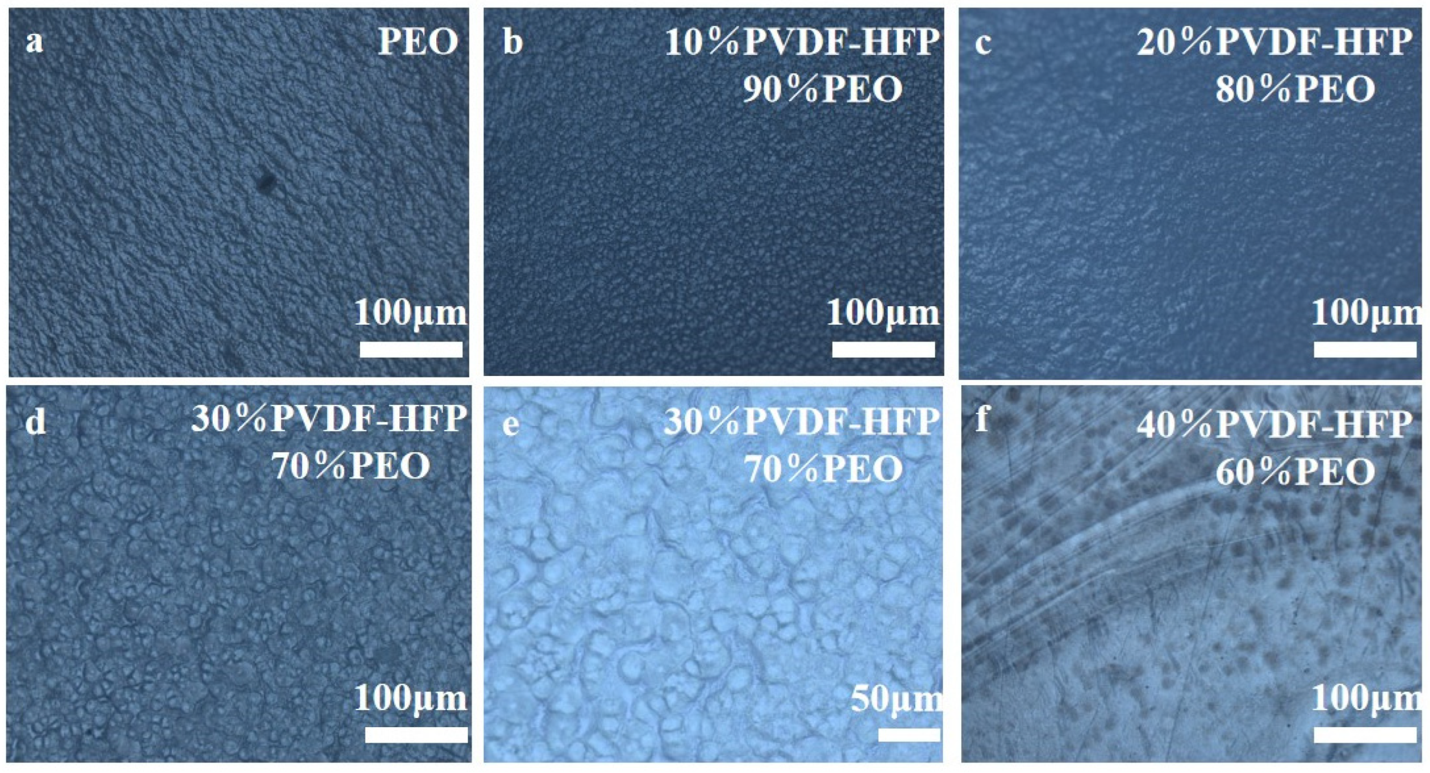Molecules 30 02422 g001