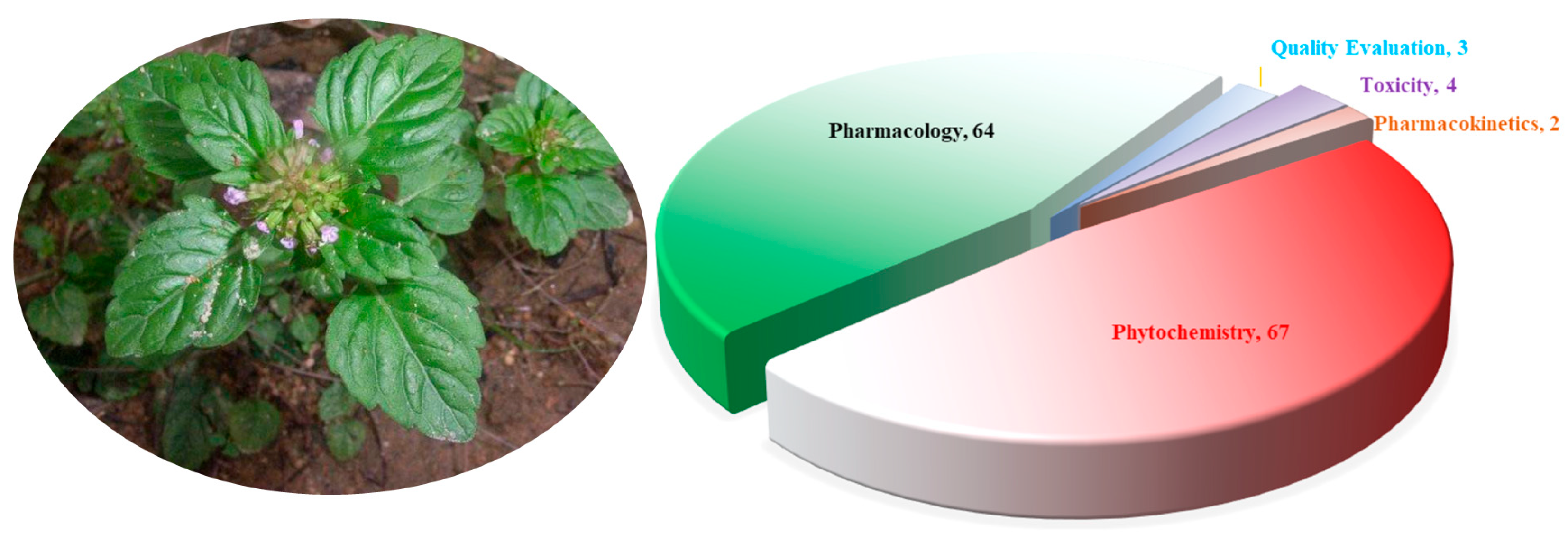 Molecules 30 02425 g001