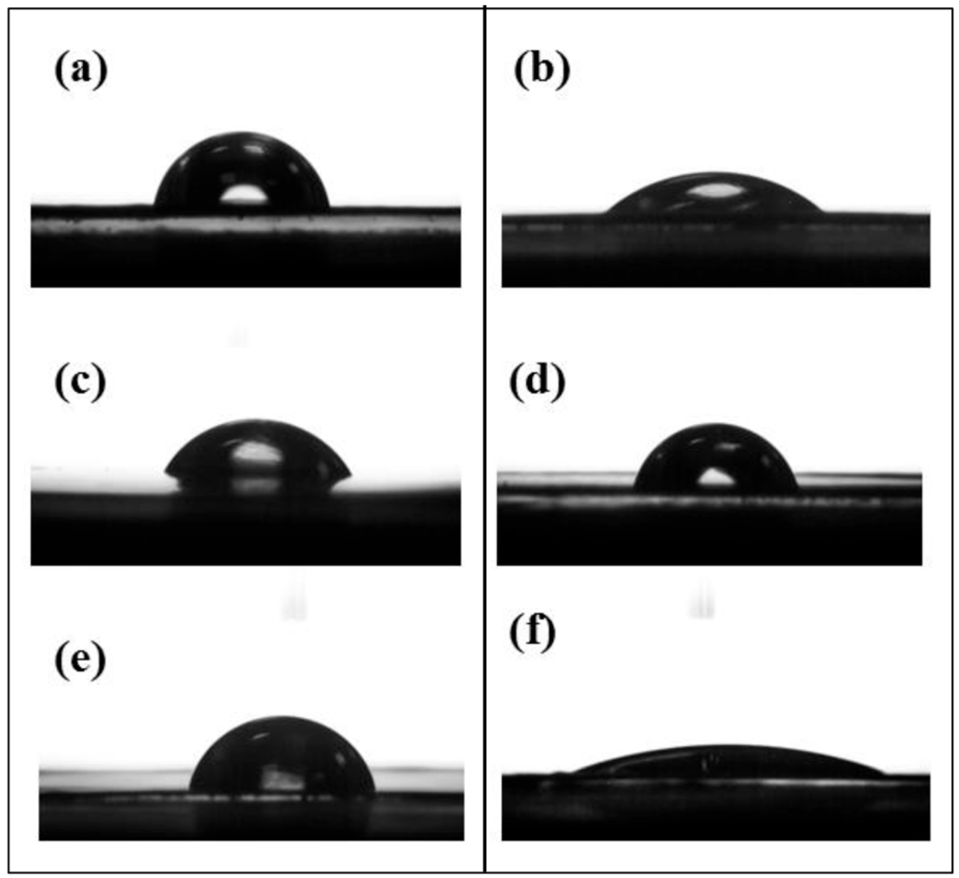 Molecules 30 02427 g001