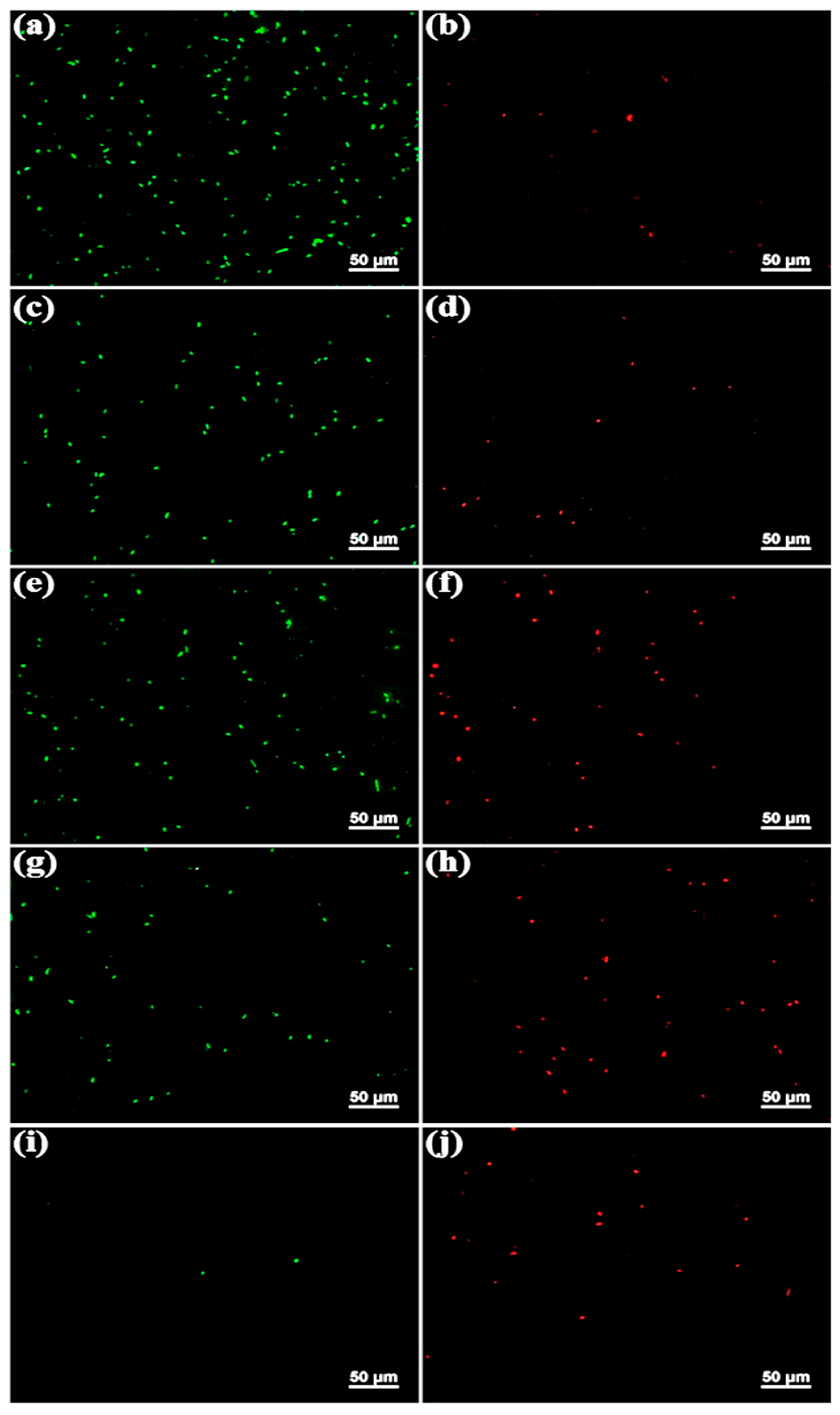 Molecules 30 02427 g004