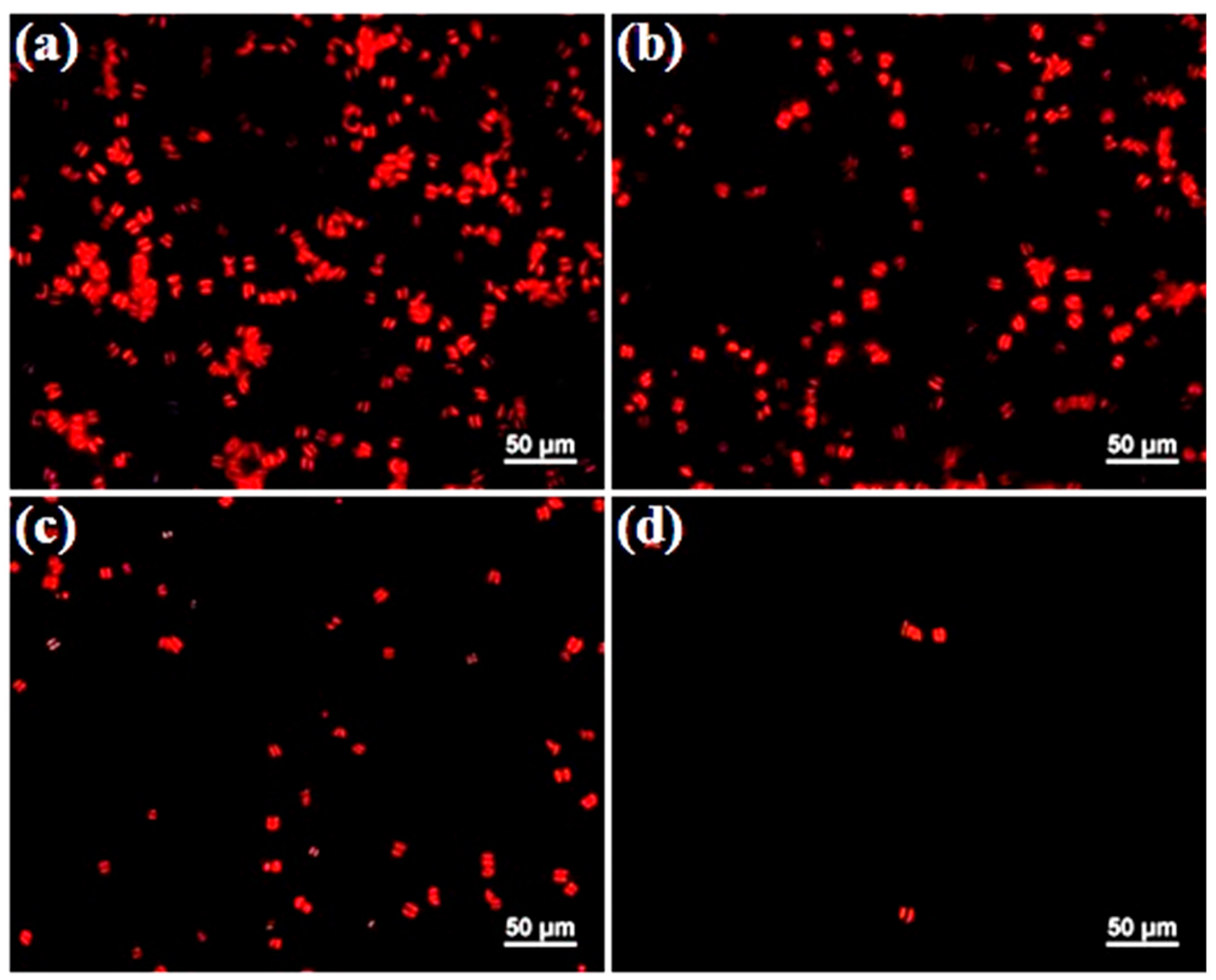 Molecules 30 02427 g006
