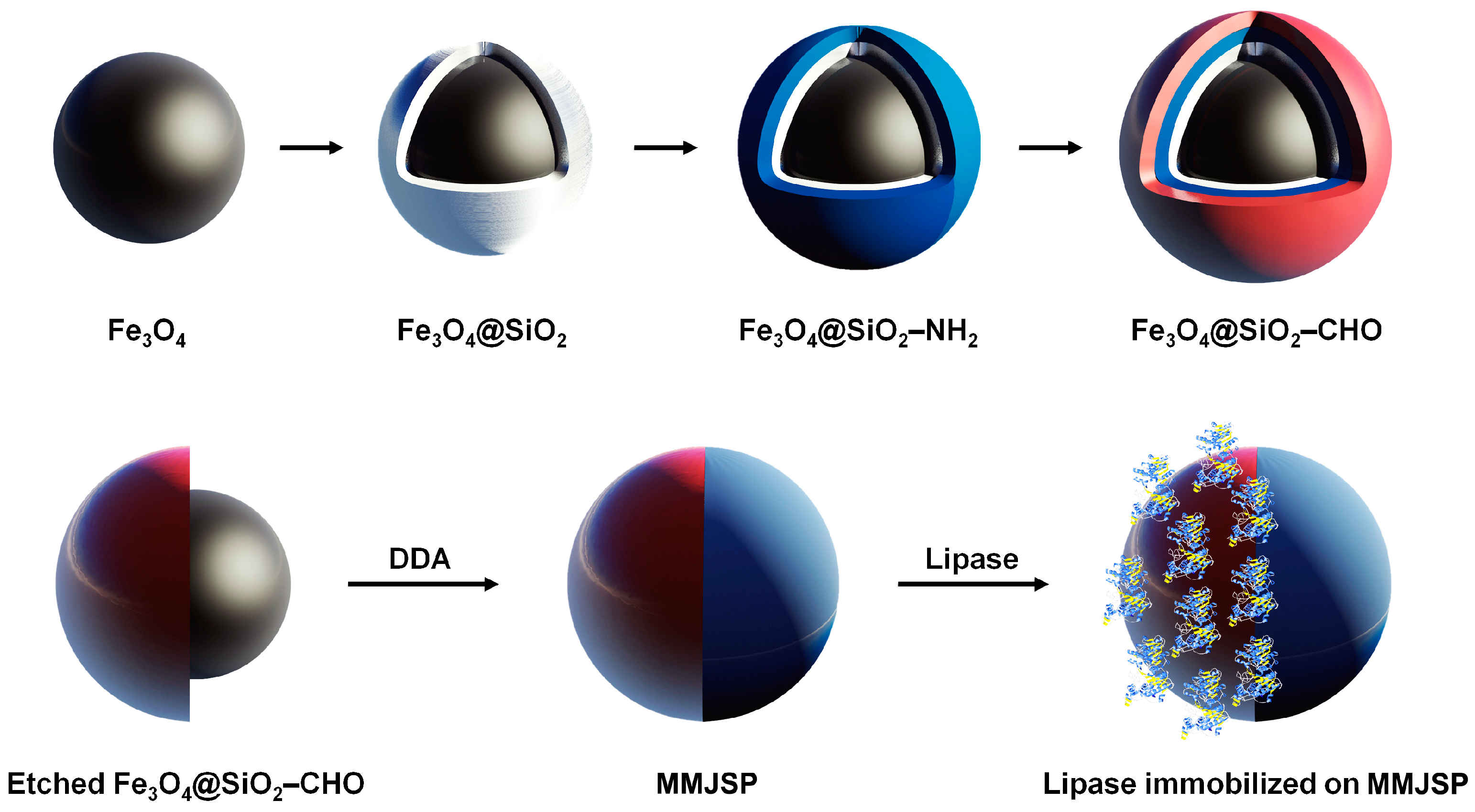 Molecules 30 02429 g001