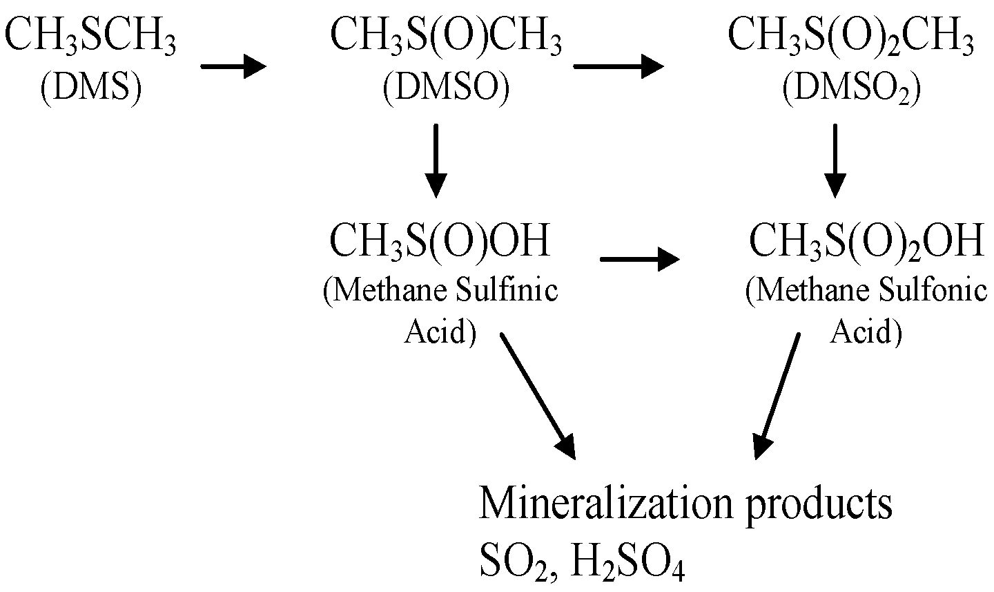 Molecules 30 02436 g001