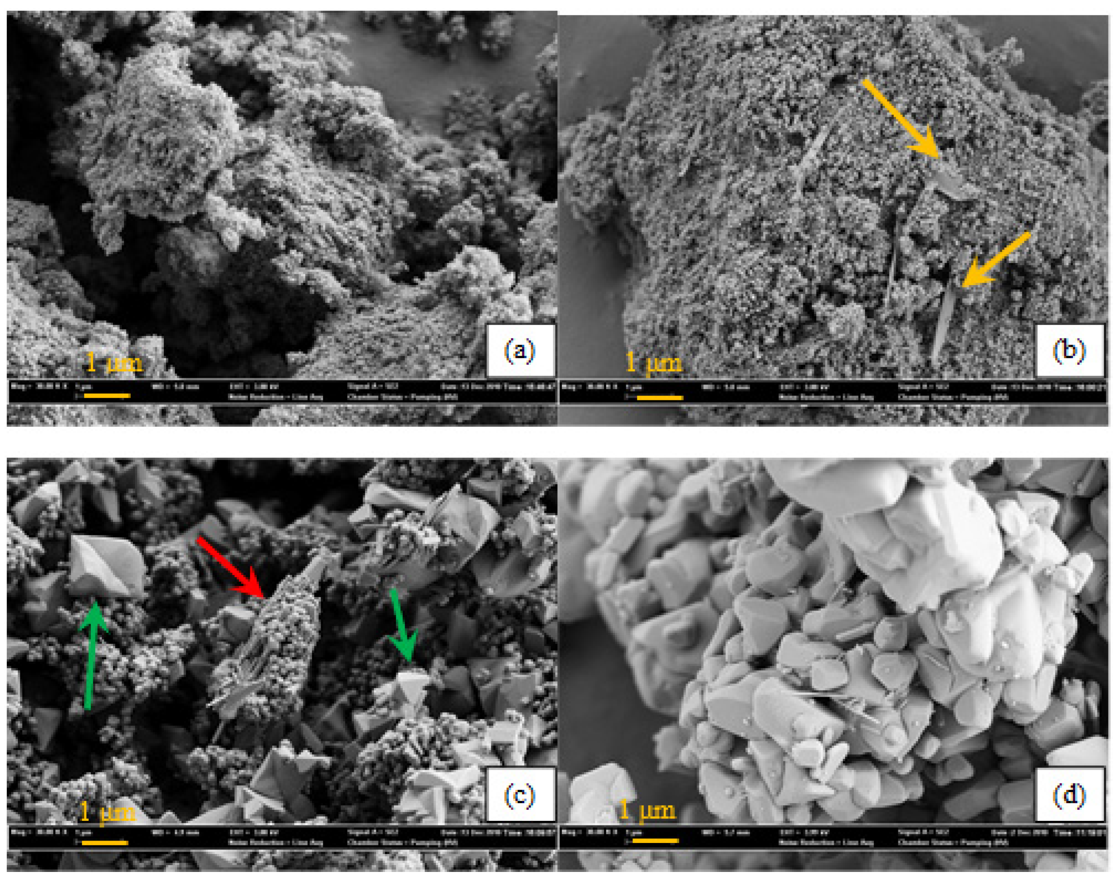 Molecules 30 02436 g007